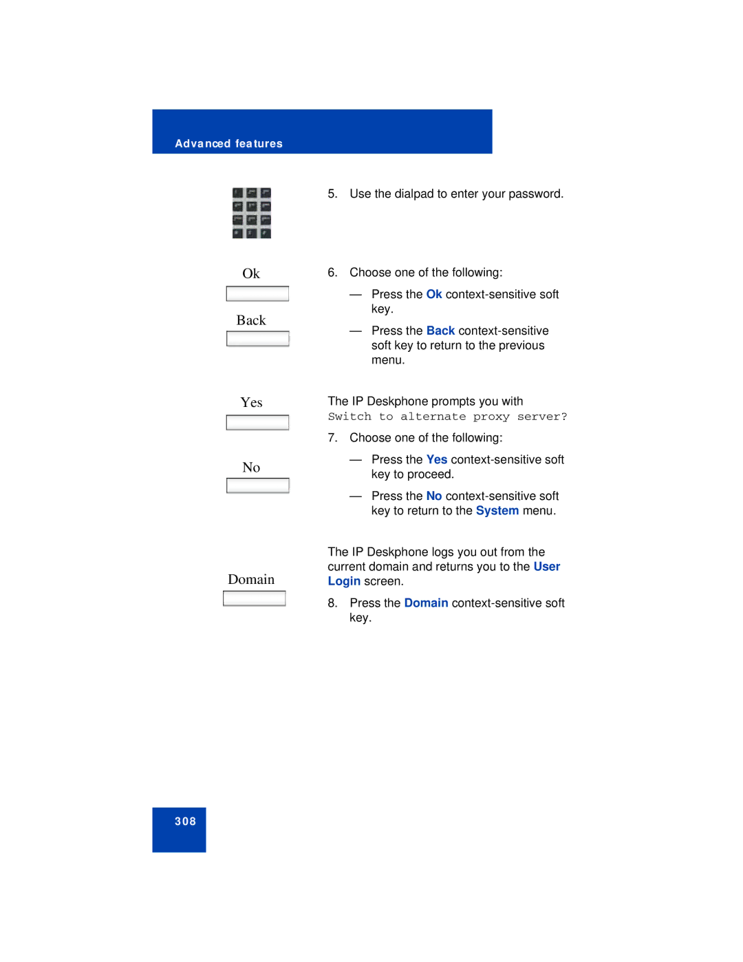 Avaya NN43113-101 manual Yes Domain, Switch to alternate proxy server? 