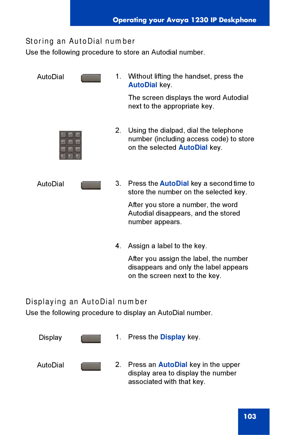 Avaya 1230, NTYS20DC70E6 manual Storing an AutoDial number, Displaying an AutoDial number, AutoDial key 