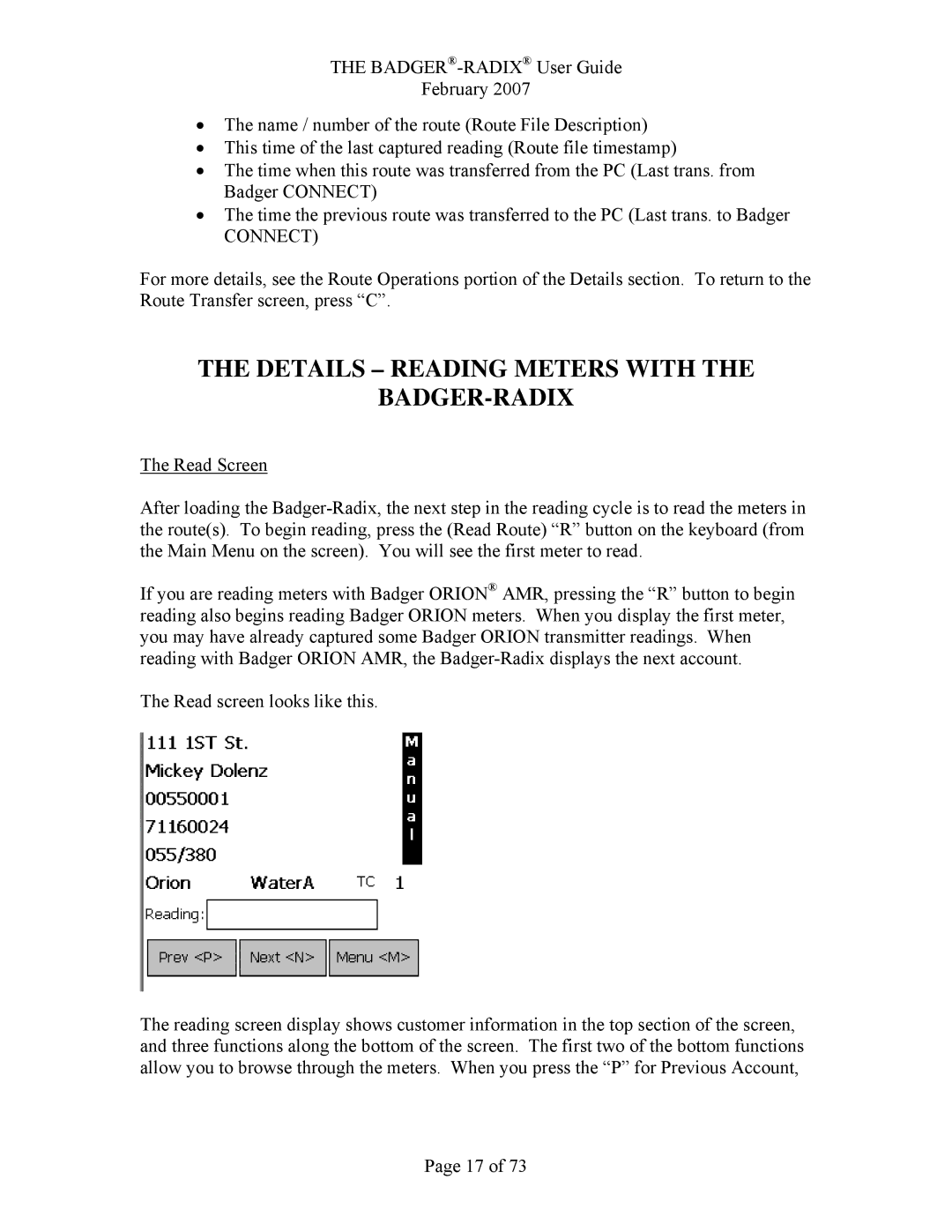 Badger Basket N64944-001, RAD-IOM-01 operation manual Details Reading Meters with BADGER-RADIX 