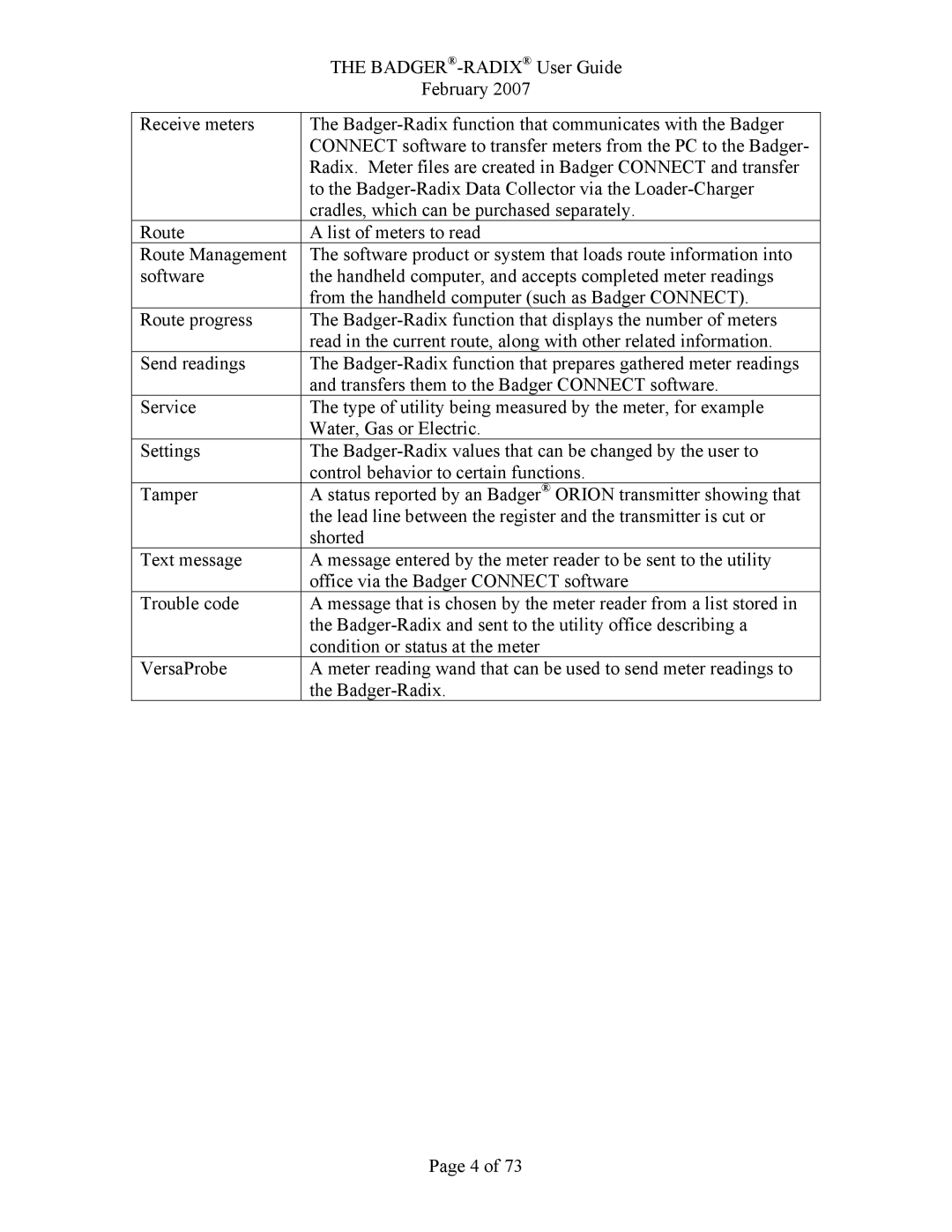 Badger Basket RAD-IOM-01, N64944-001 operation manual BADGER-RADIXUser Guide 