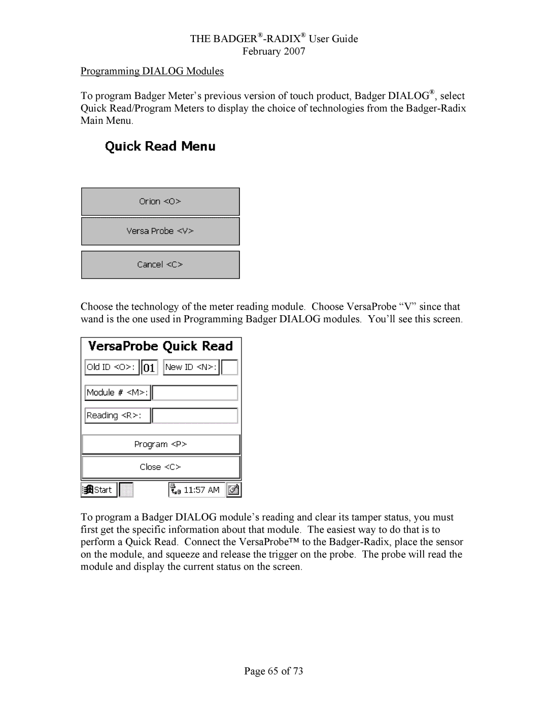 Badger Basket N64944-001, RAD-IOM-01 operation manual 