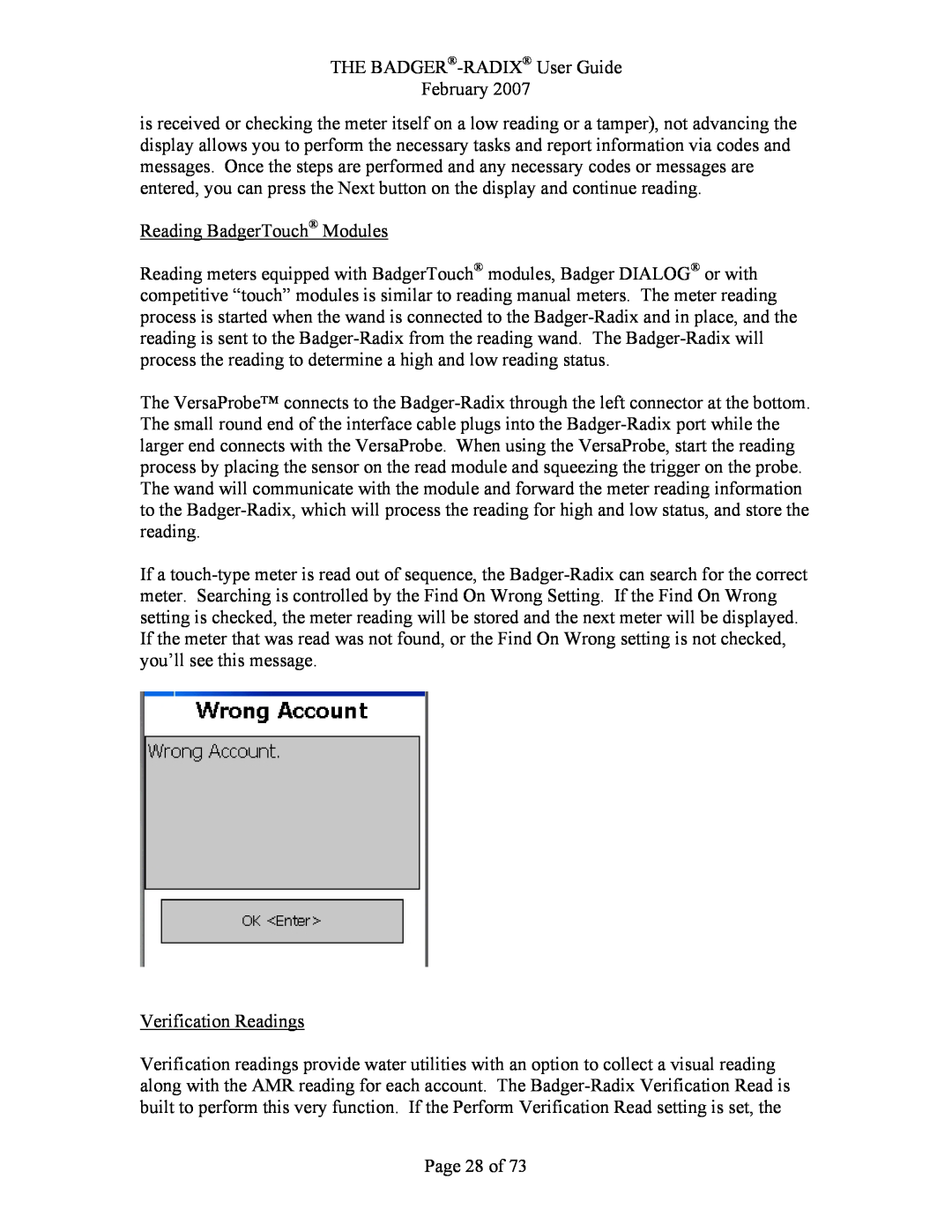Badger Basket RAD-IOM-01, N64944-001 operation manual Reading BadgerTouch Modules, Verification Readings, Page 28 of 