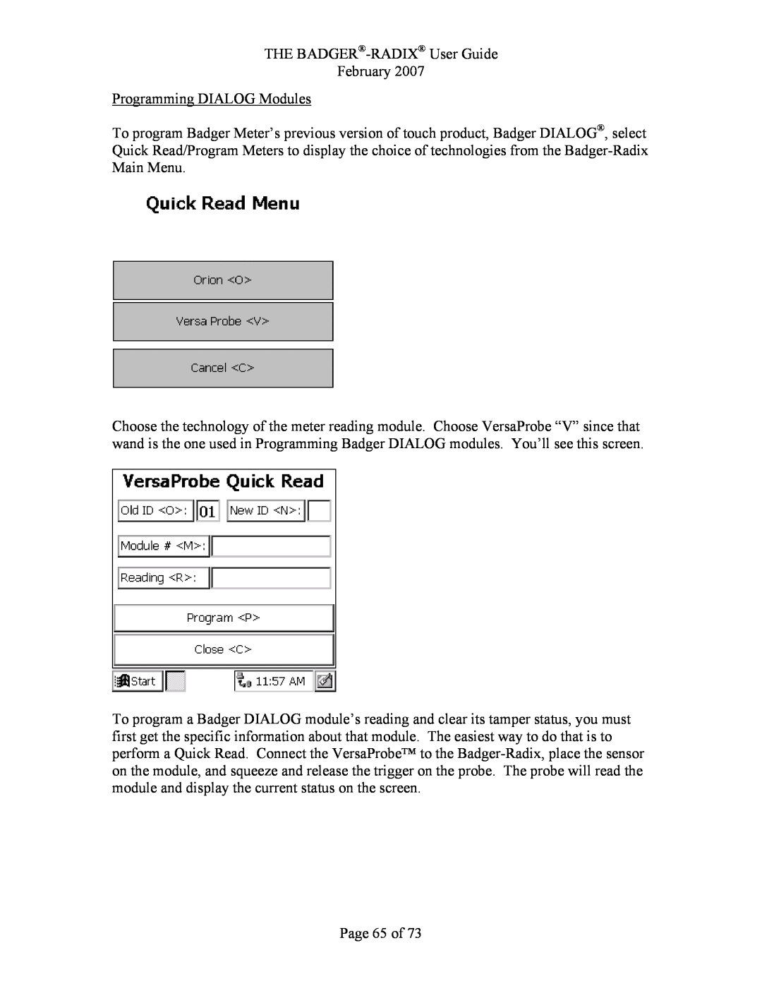 Badger Basket N64944-001, RAD-IOM-01 THE BADGER-RADIX User Guide February Programming DIALOG Modules, Page 65 of 