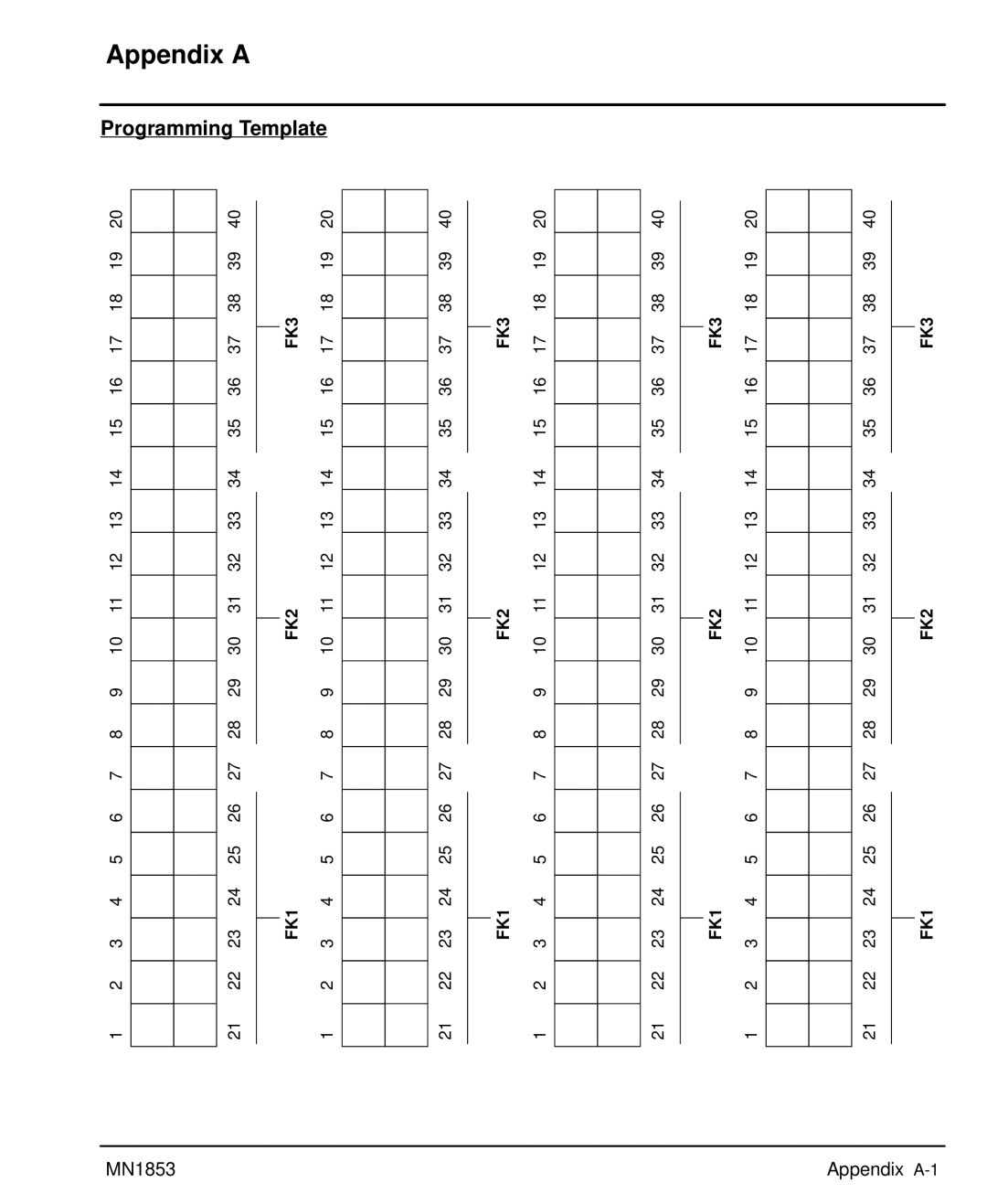 Baldor MIN1853 manual Appendix a, Programming Template 