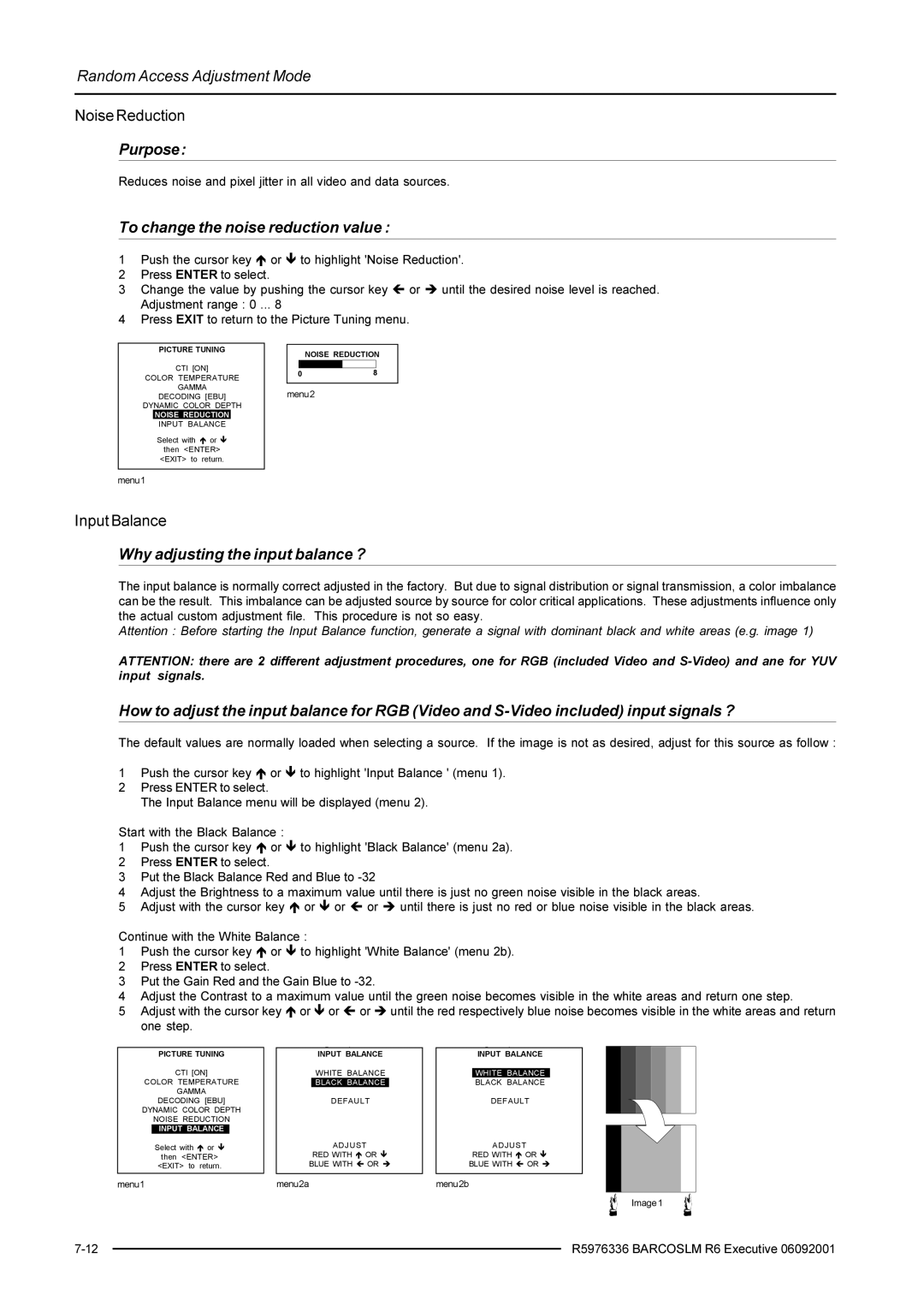 Barco R9002790 To change the noise reduction value, Why adjusting the input balance ?, Noise Reduction, Input Balance 