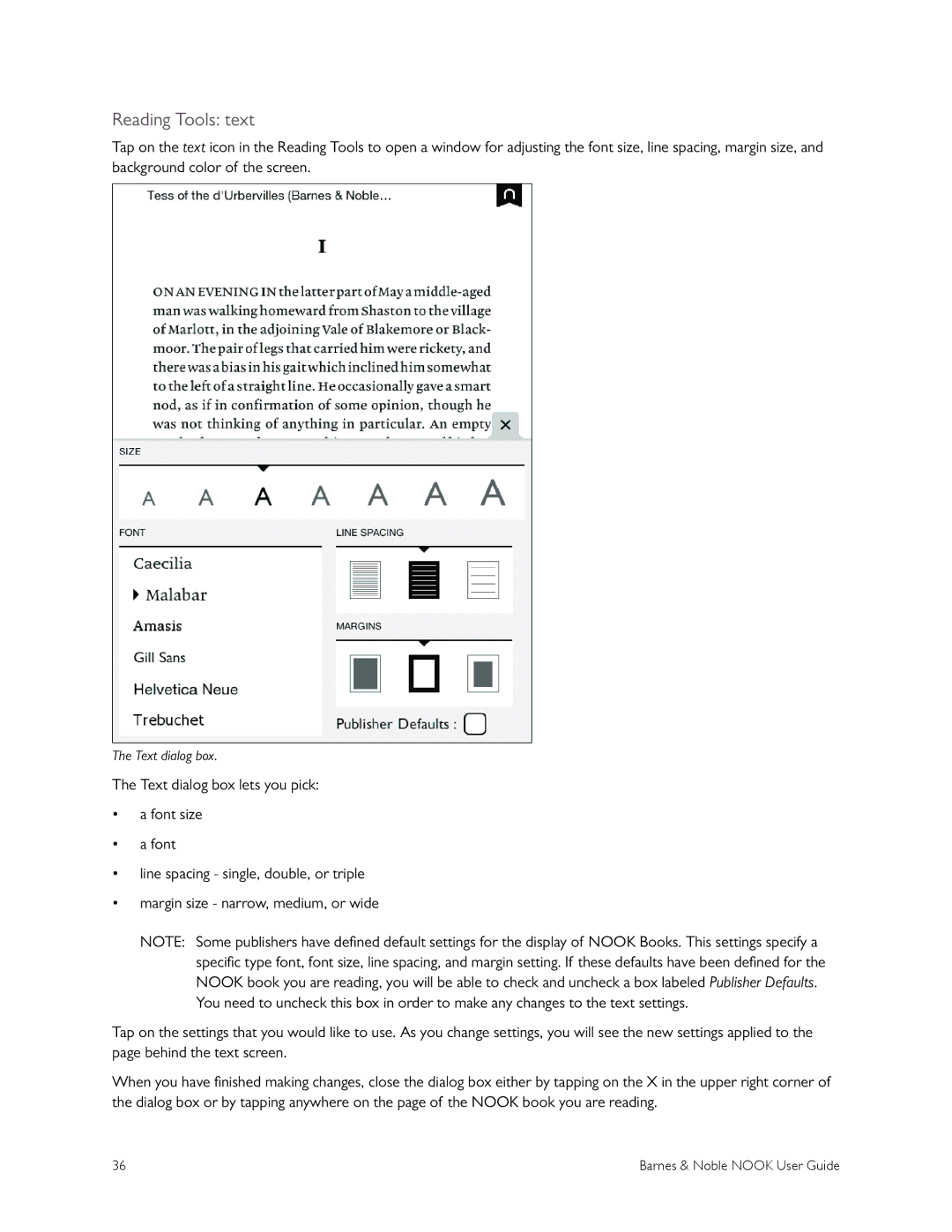 Barnes & Noble BNRV300 manual Reading Tools text 