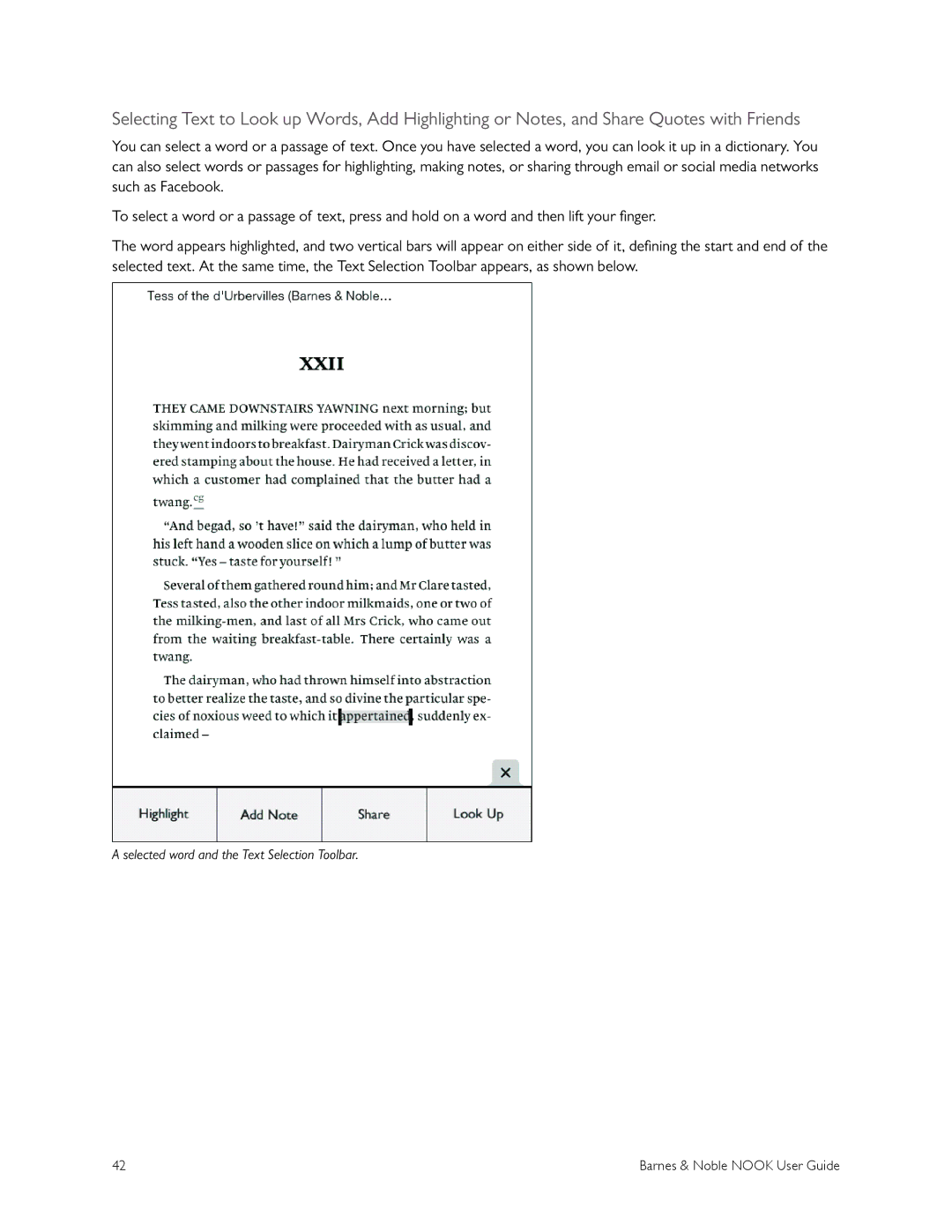 Barnes & Noble BNRV300 manual Selected word and the Text Selection Toolbar 