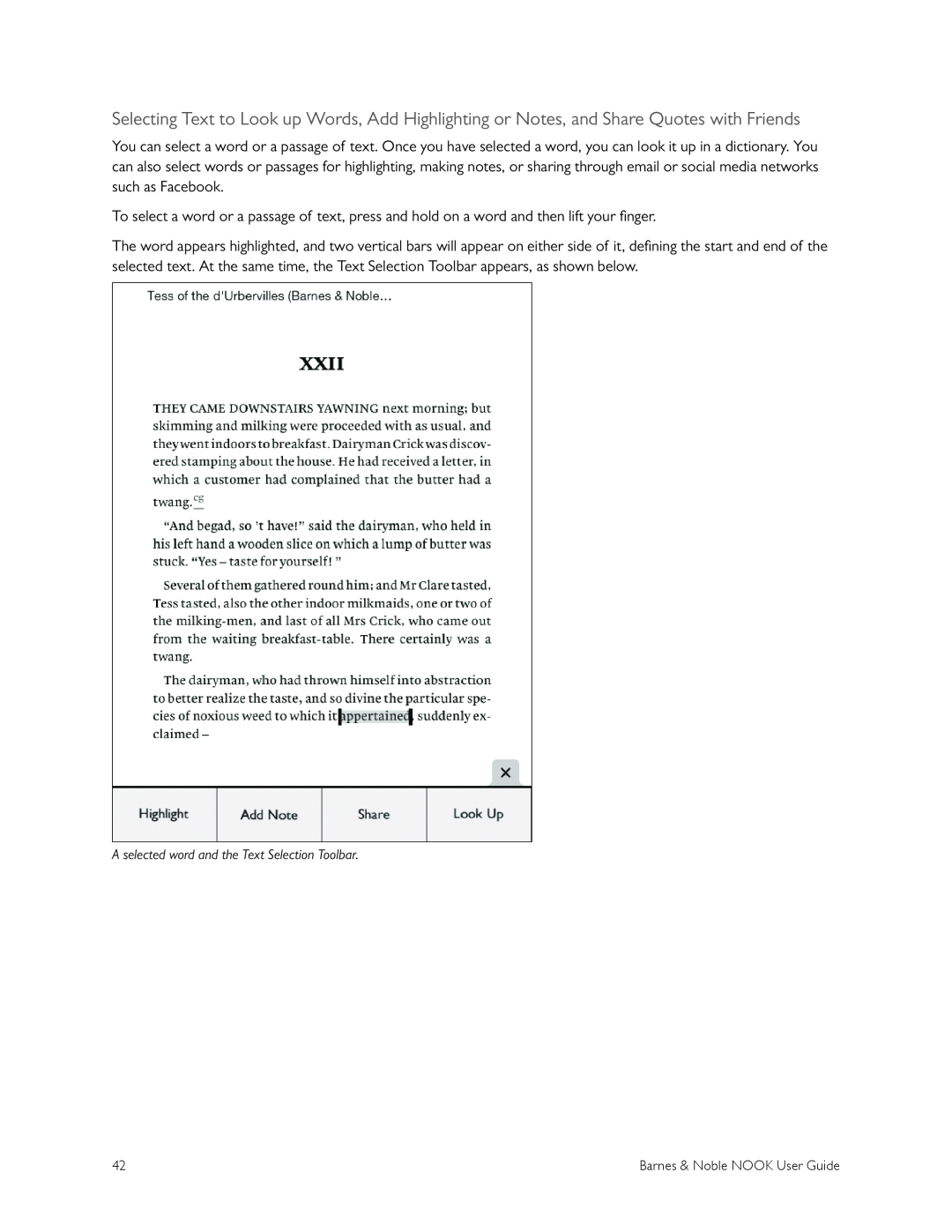 Barnes & Noble BNRV300 manual A selected word and the Text Selection Toolbar 