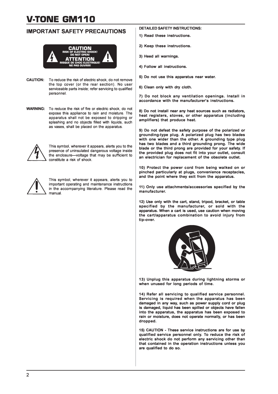 Behringer V-TONEGM110 manual Important Safety Precautions 
