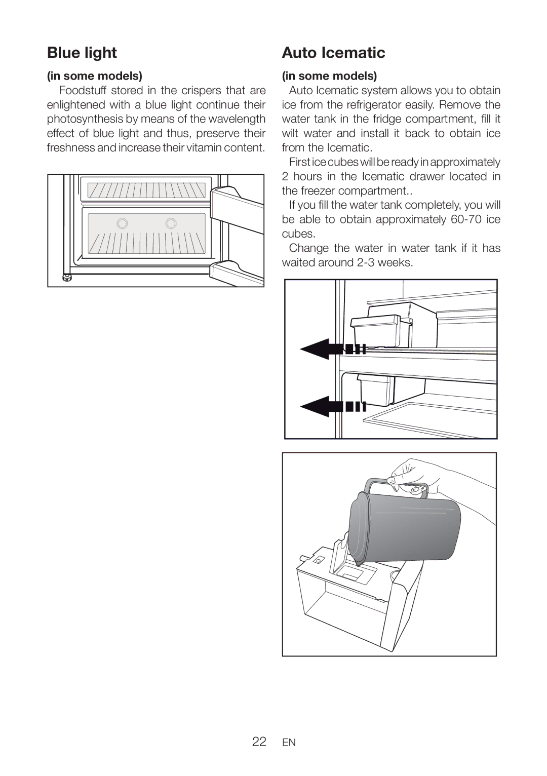 Beko DN151120X manual Blue light, Auto Icematic 