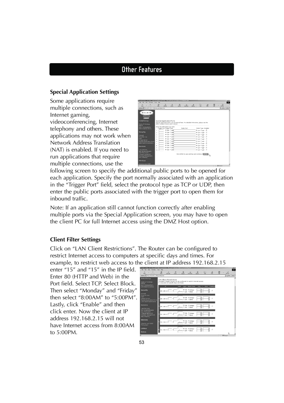 Belkin F506230-3 user manual Special Application Settings, Client Filter Settings 