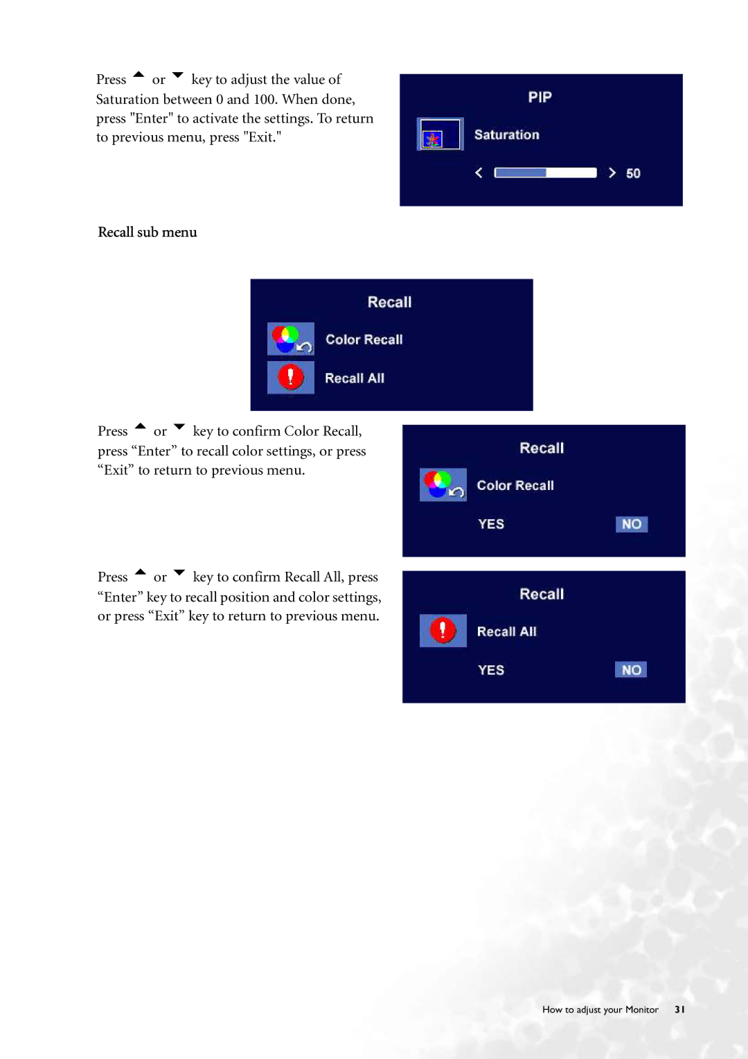 BenQ FP231W user manual Recall sub menu 