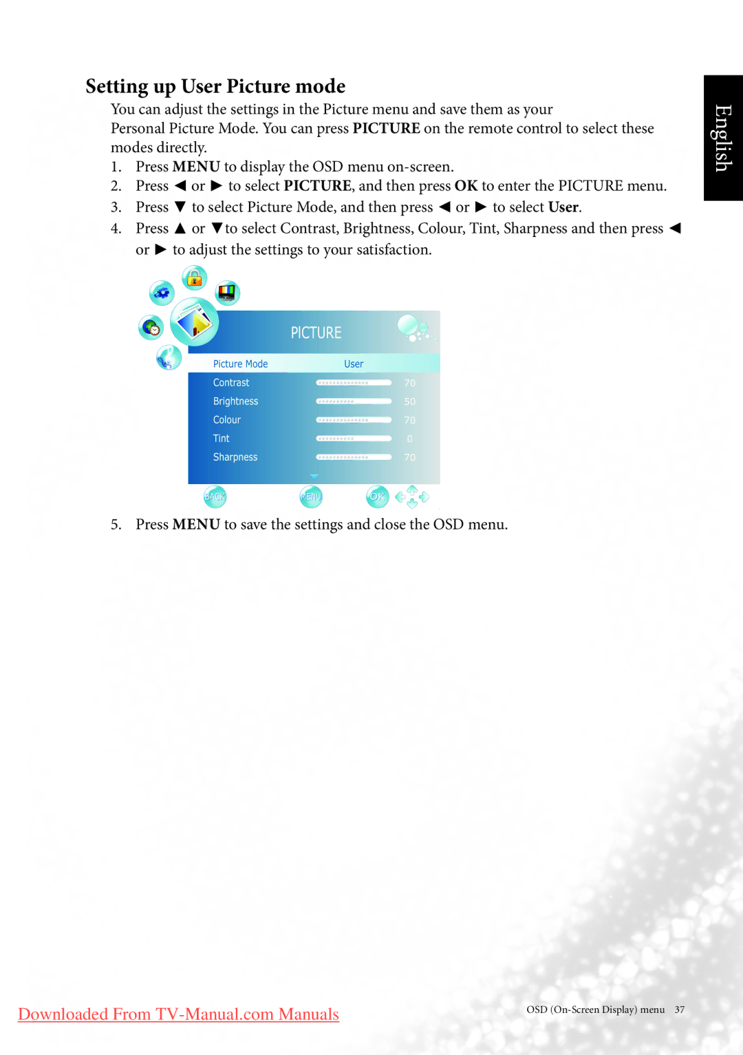 BenQ MK2443 manual Setting up User Picture mode 