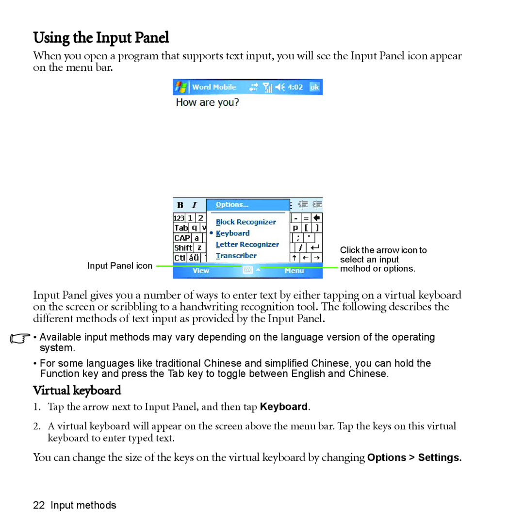 BenQ P51 manual Using the Input Panel, Virtual keyboard 