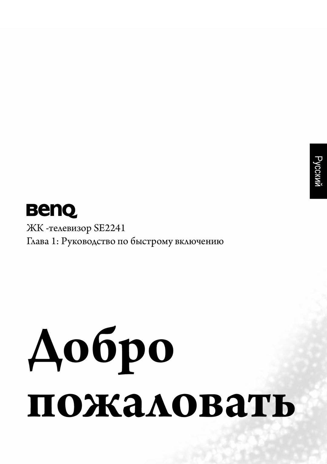 BenQ SE2241 manual Добро Пожаловать 