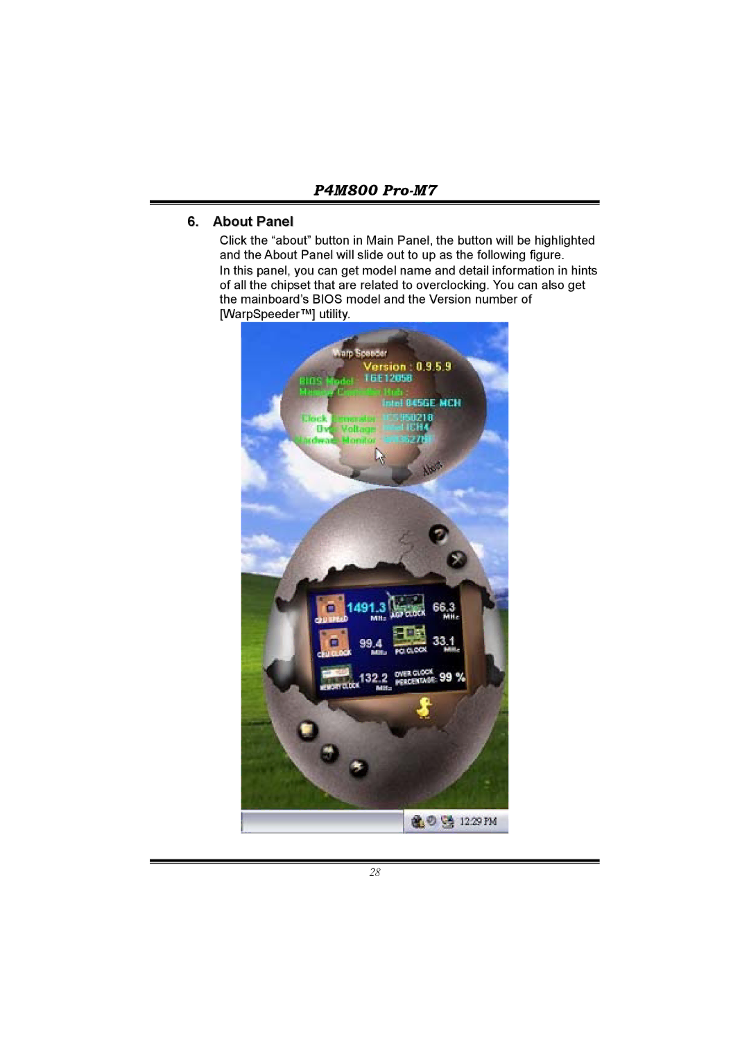 BioStar P4M800 manual About Panel 