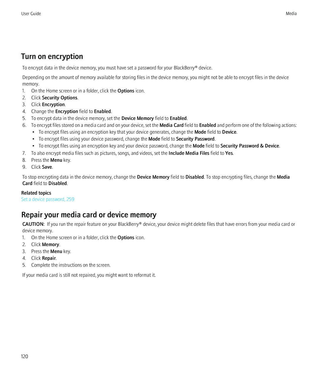 Blackberry 8900, 8910 manual Turn on encryption, Repair your media card or device memory 