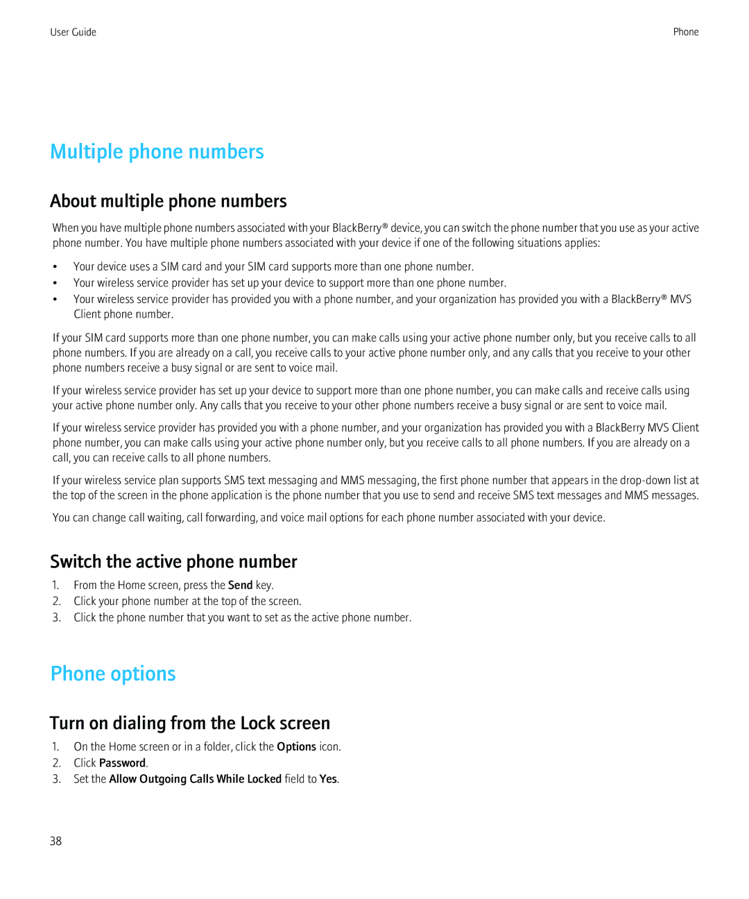 Blackberry 9300 Version: 5.0 manual Multiple phone numbers, Phone options, About multiple phone numbers 