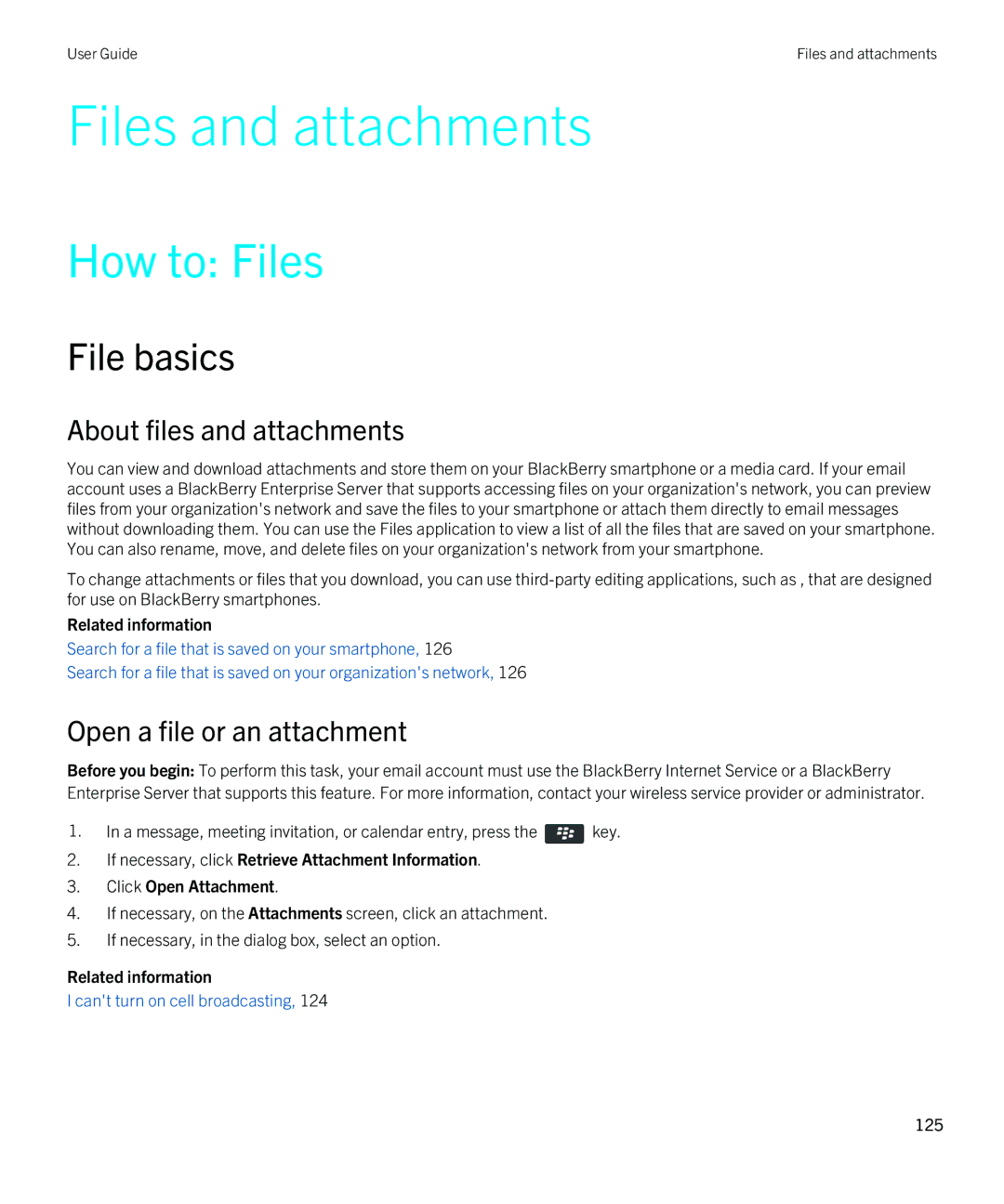 Blackberry 9380 manual Files and attachments, How to Files, File basics 