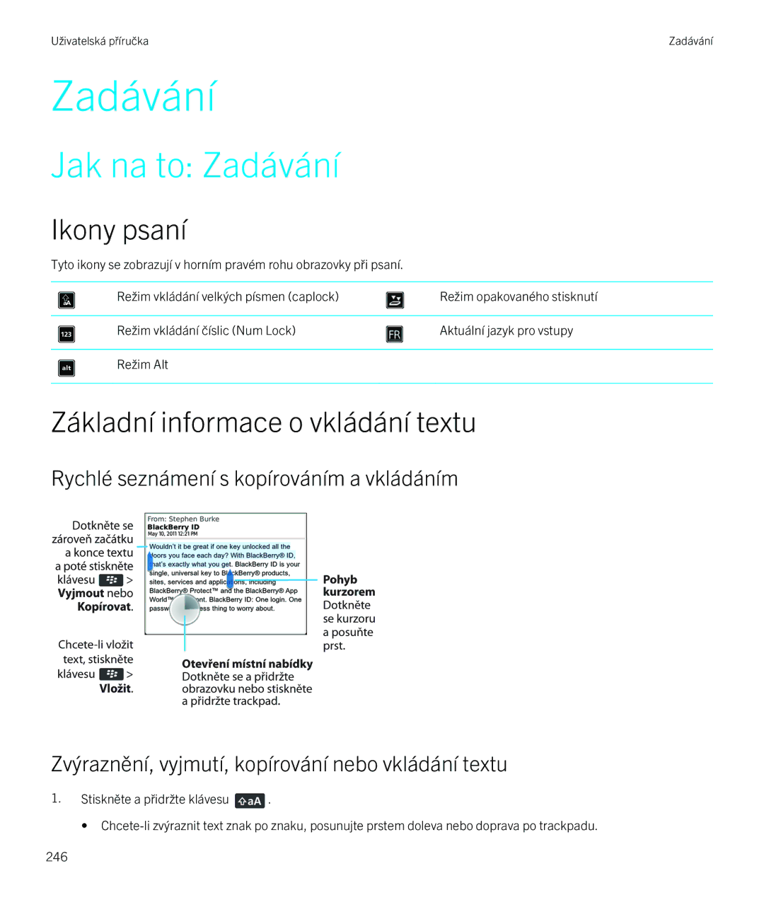 Blackberry 9720 manual Jak na to Zadávání, Ikony psaní, Základní informace o vkládání textu 