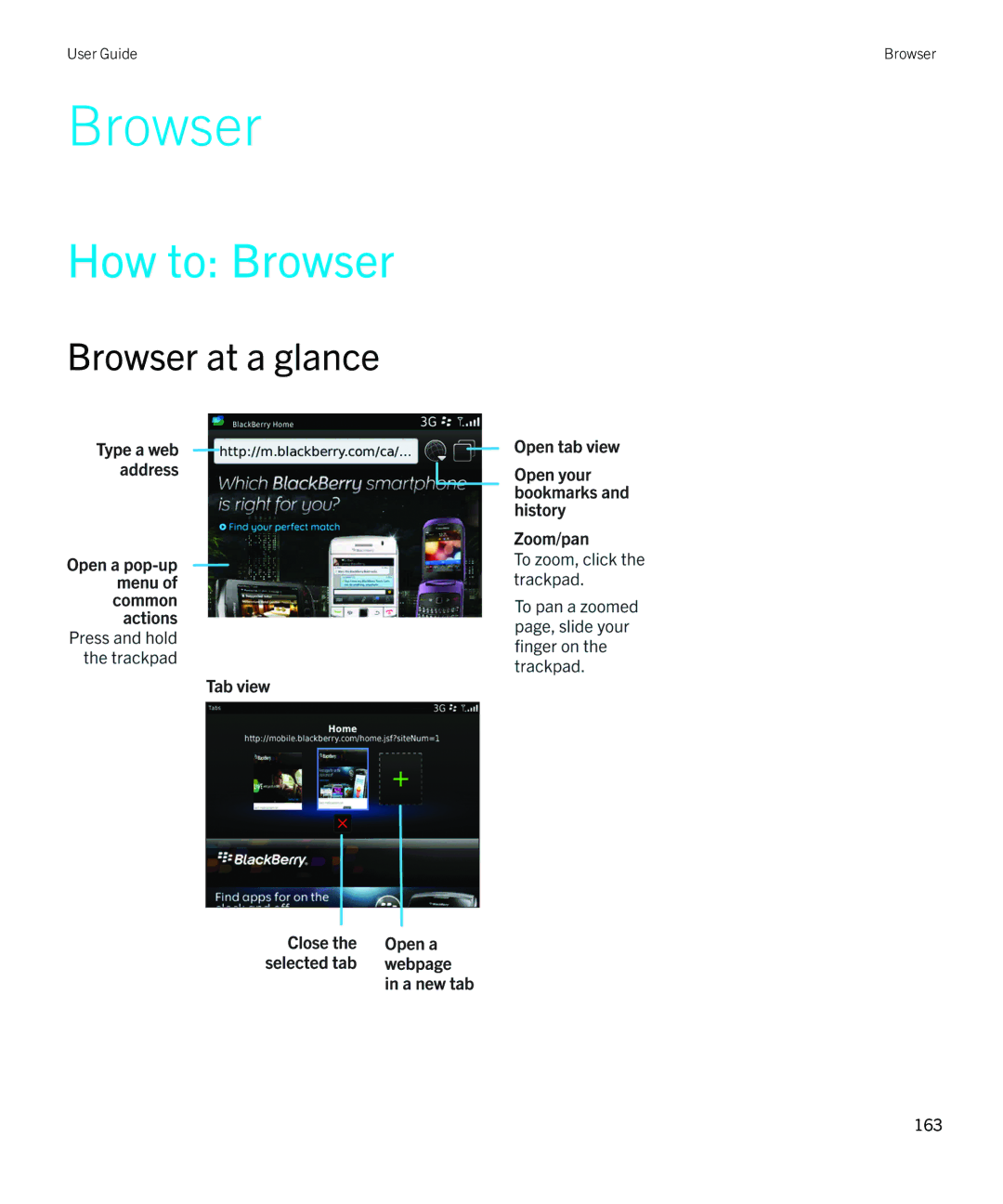 Blackberry REX41GW manual How to Browser, Browser at a glance 