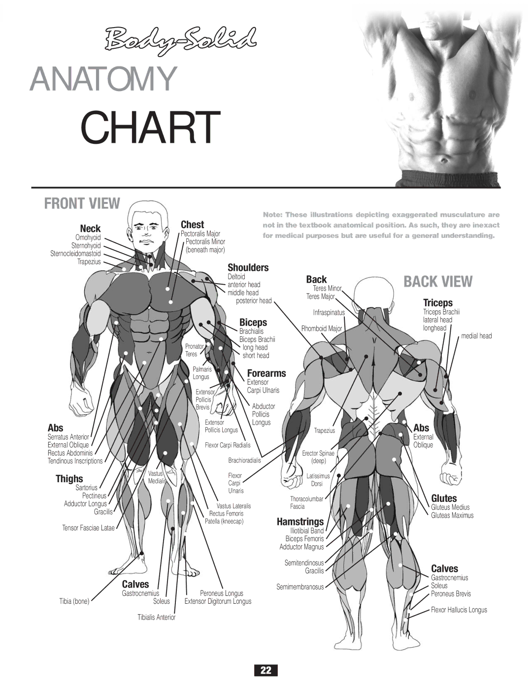 Body Solid FID 46 manual A R T, Front View 