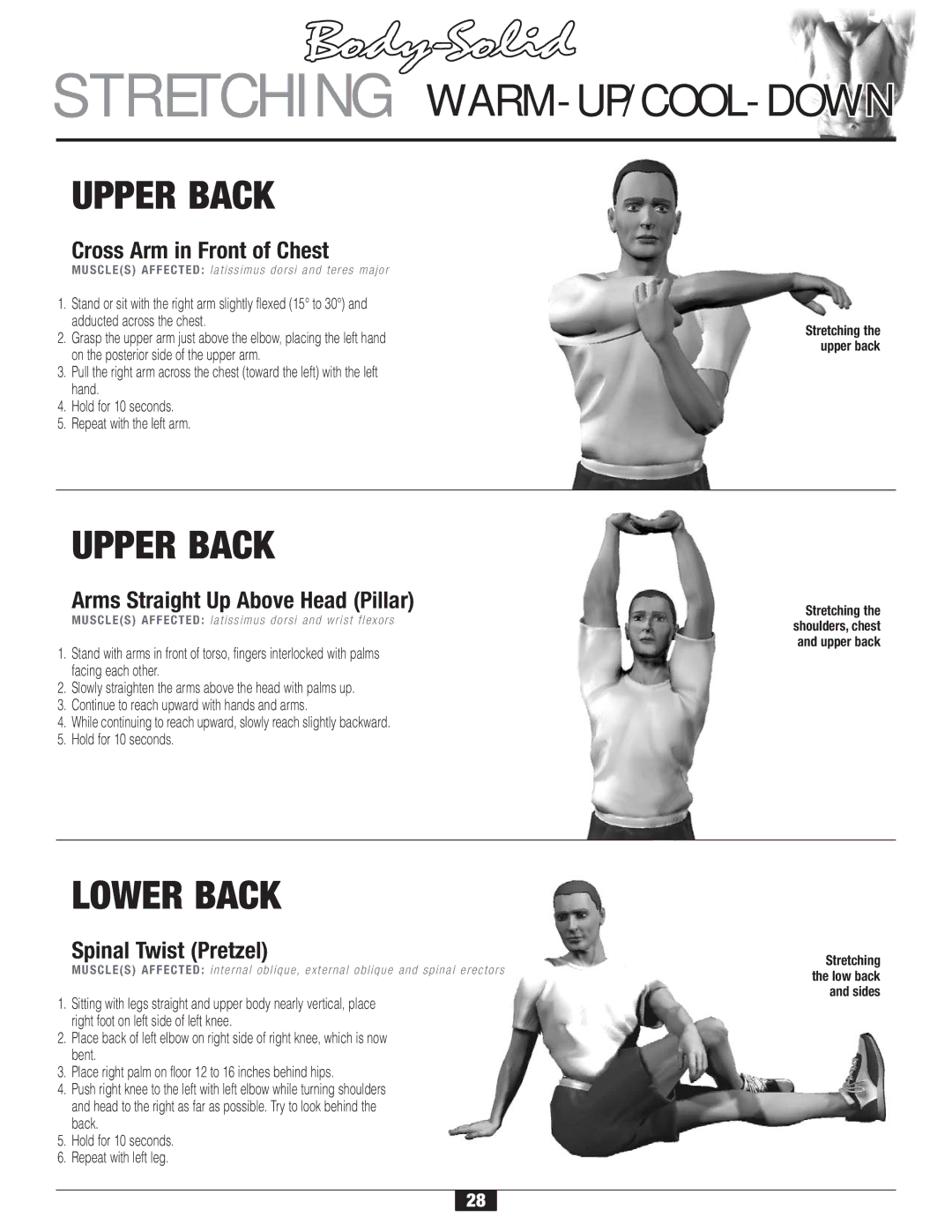 Body Solid FID 46 manual Upper Back, Lower Back, Cross Arm in Front of Chest, Arms Straight Up Above Head Pillar 