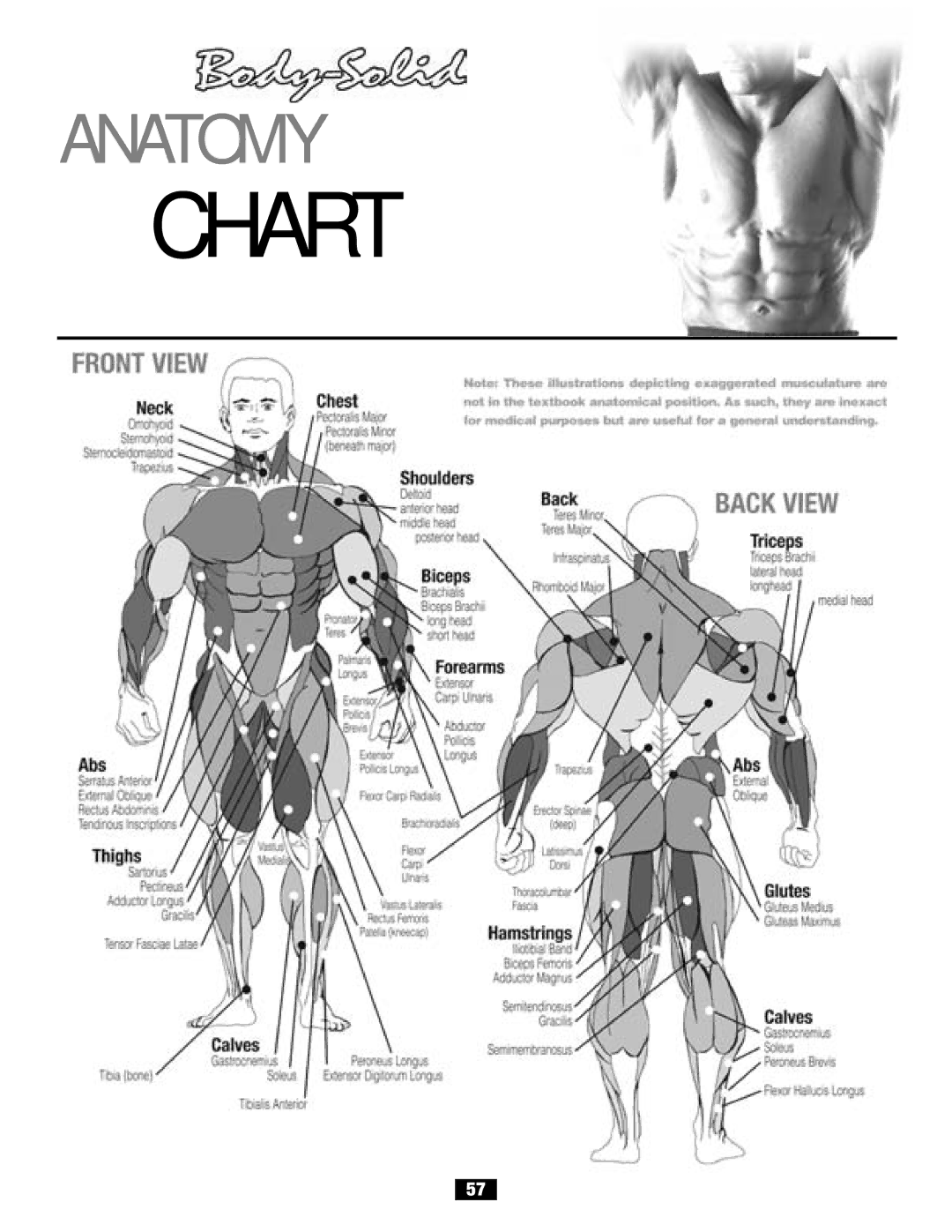 Body Solid G2B manual Chart 