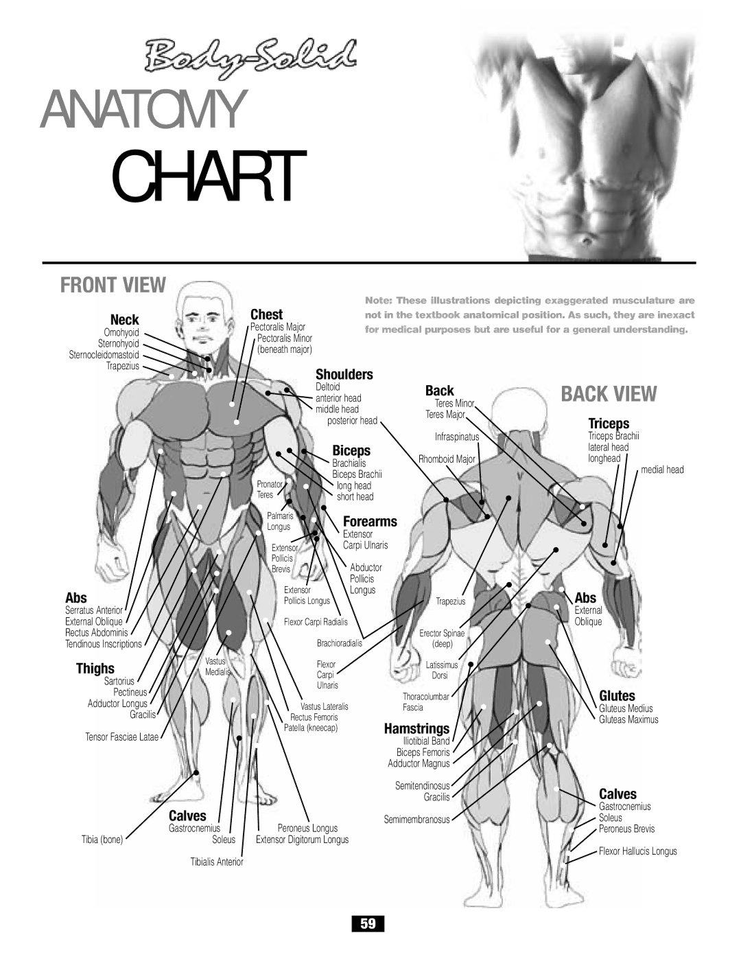 Body Solid G6B manual Chart 