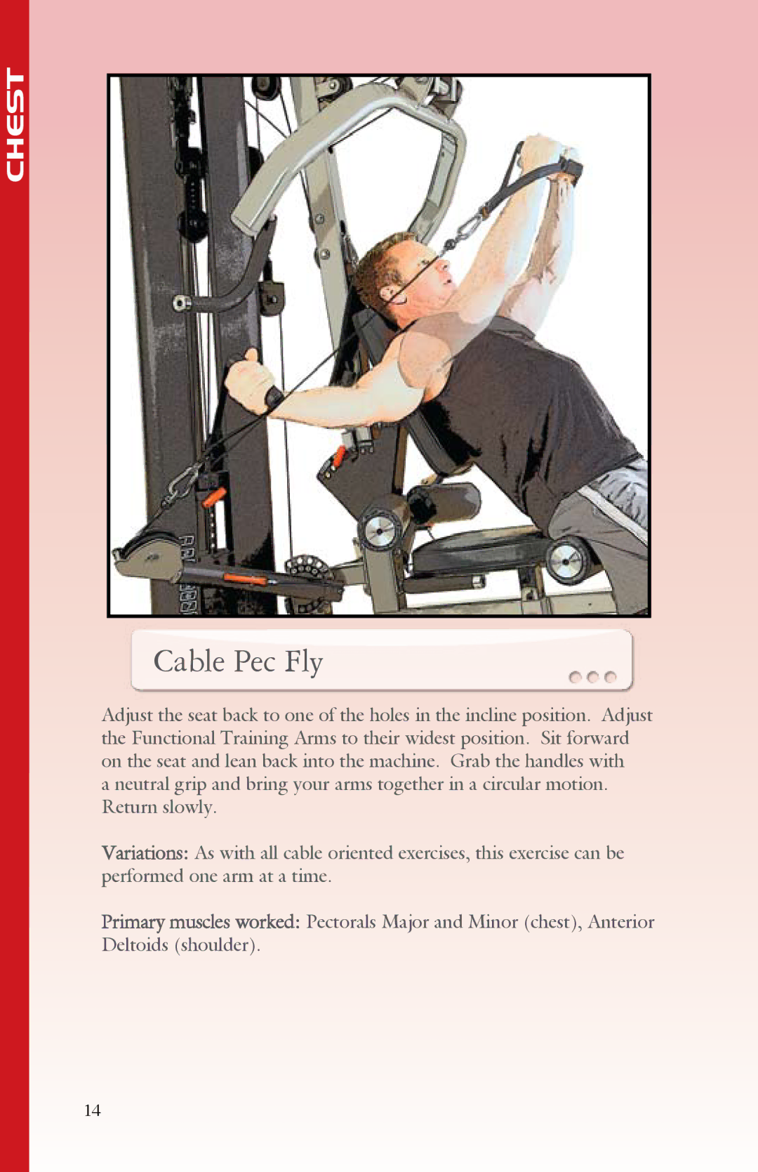 BodyCraft Strength Training System manual Cable Pec Fly 