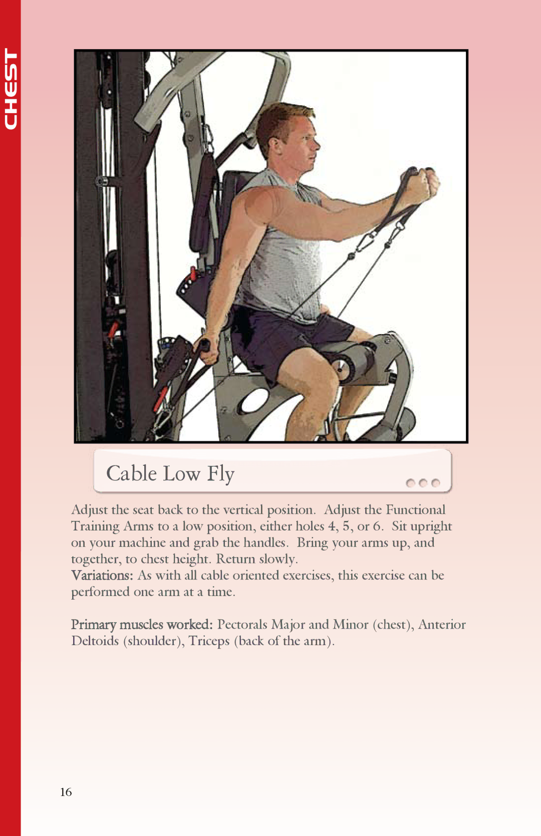 BodyCraft Strength Training System manual Cable Low Fly 