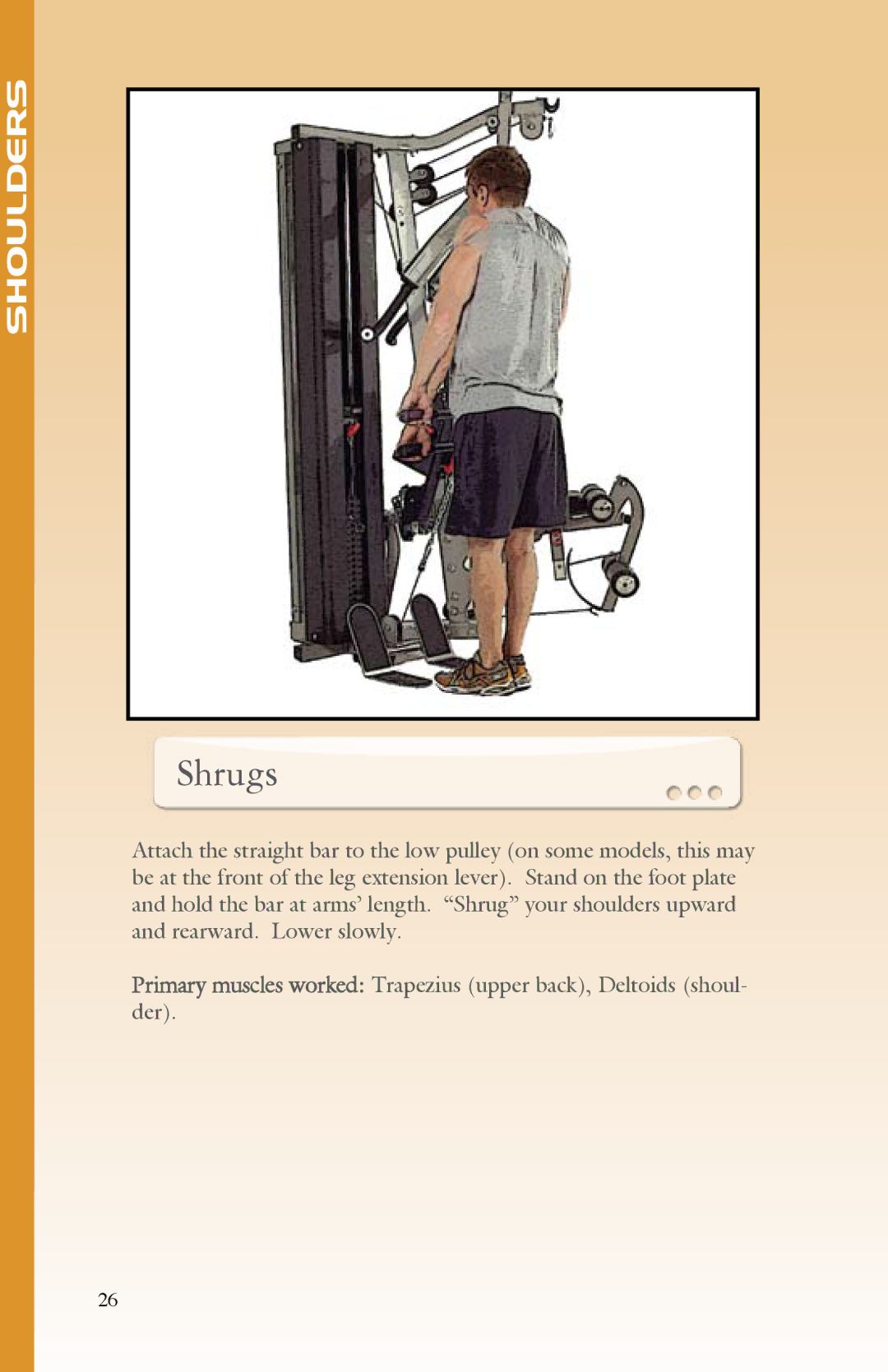 BodyCraft Strength Training System manual Shrugs 