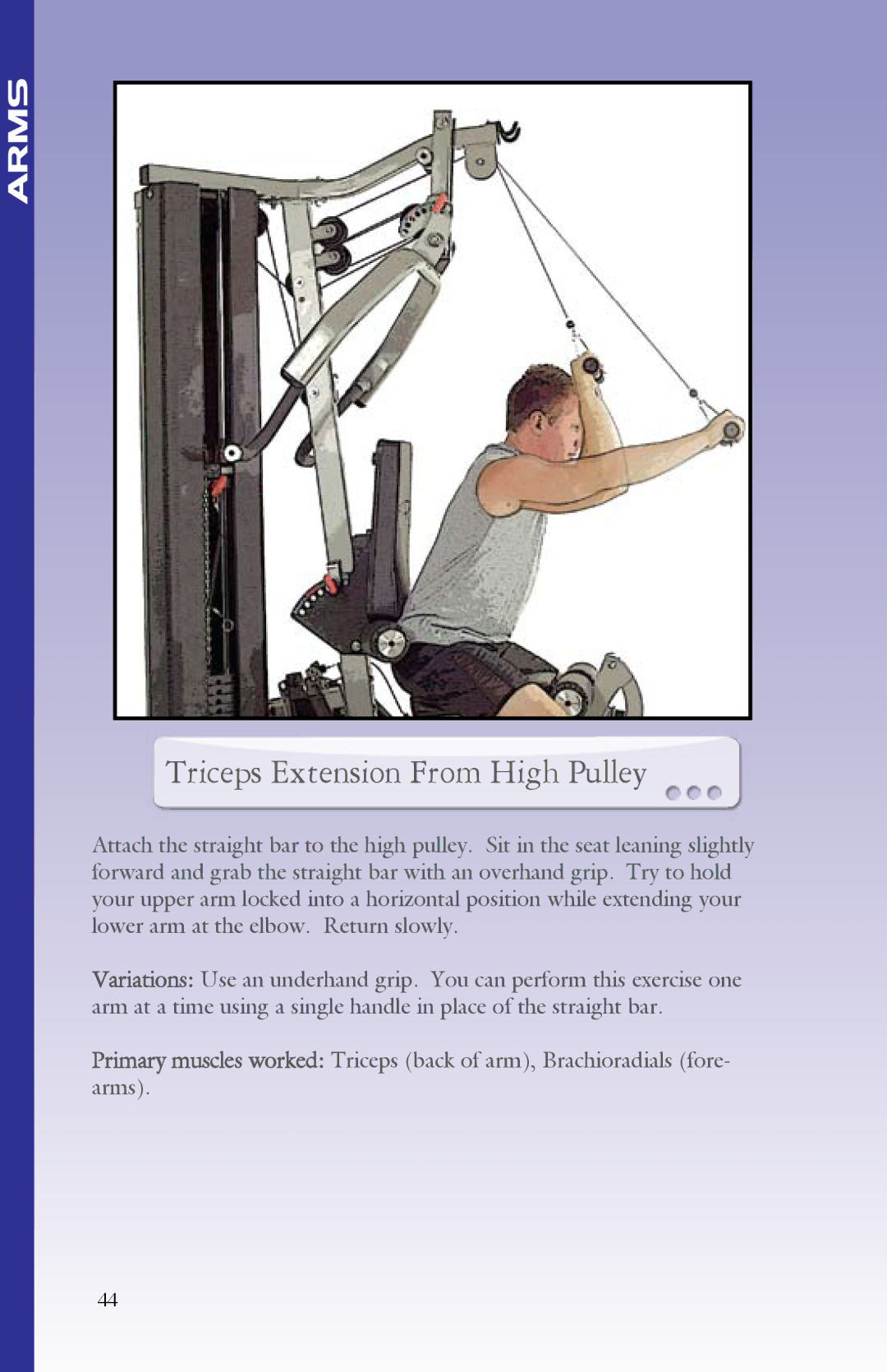 BodyCraft Strength Training System manual Triceps Extension From High Pulley 