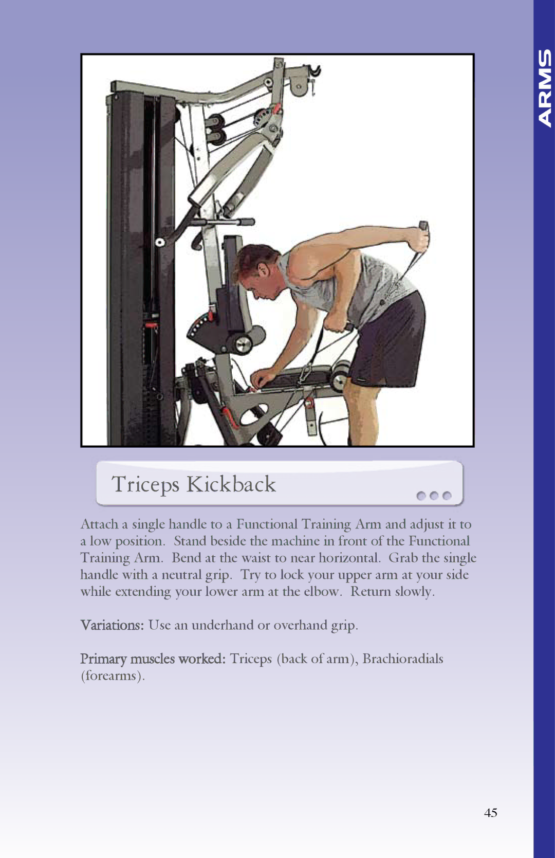 BodyCraft Strength Training System manual Triceps Kickback 