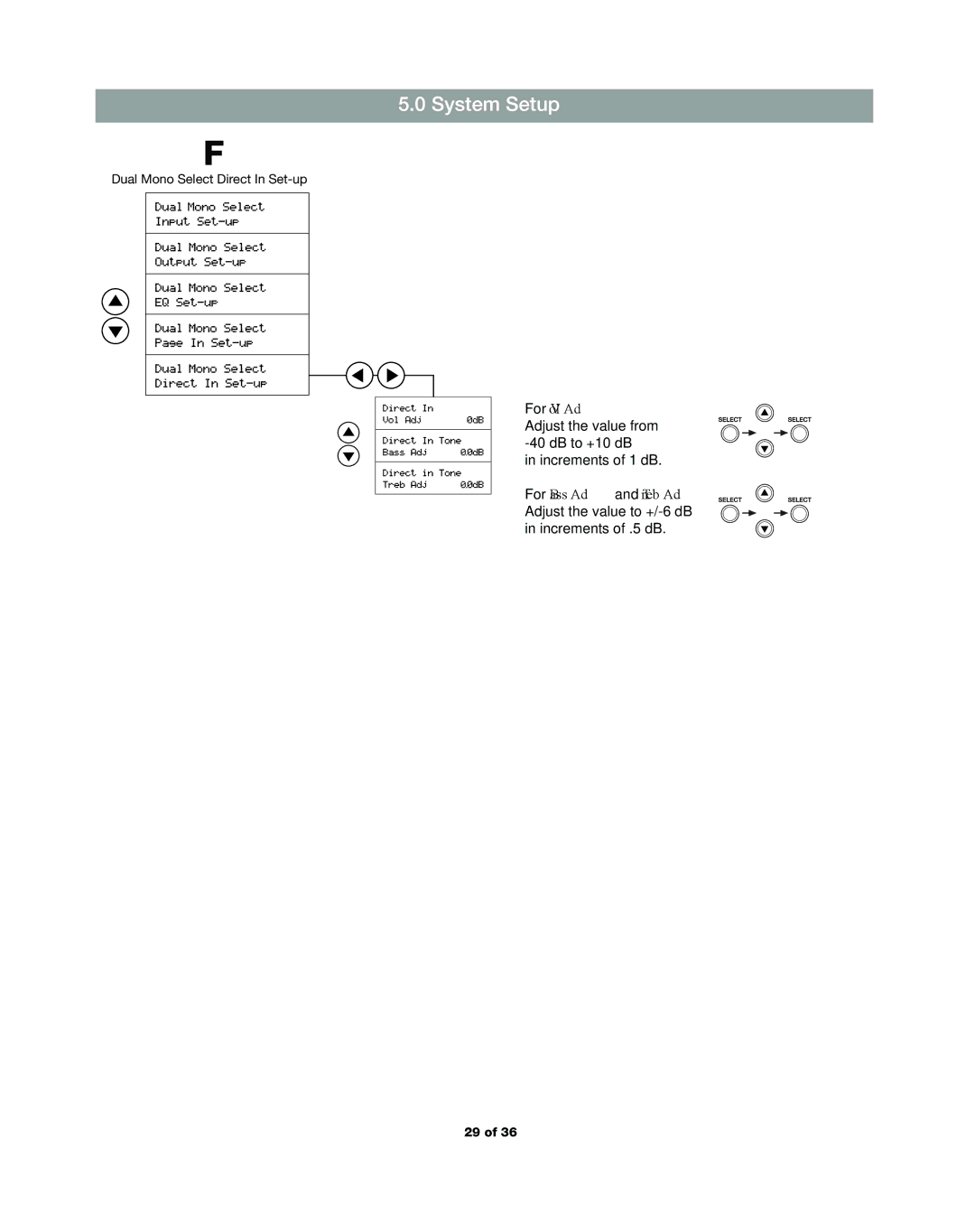 Bose DXA2120 manual Dual Mono Select Direct In Set-up 