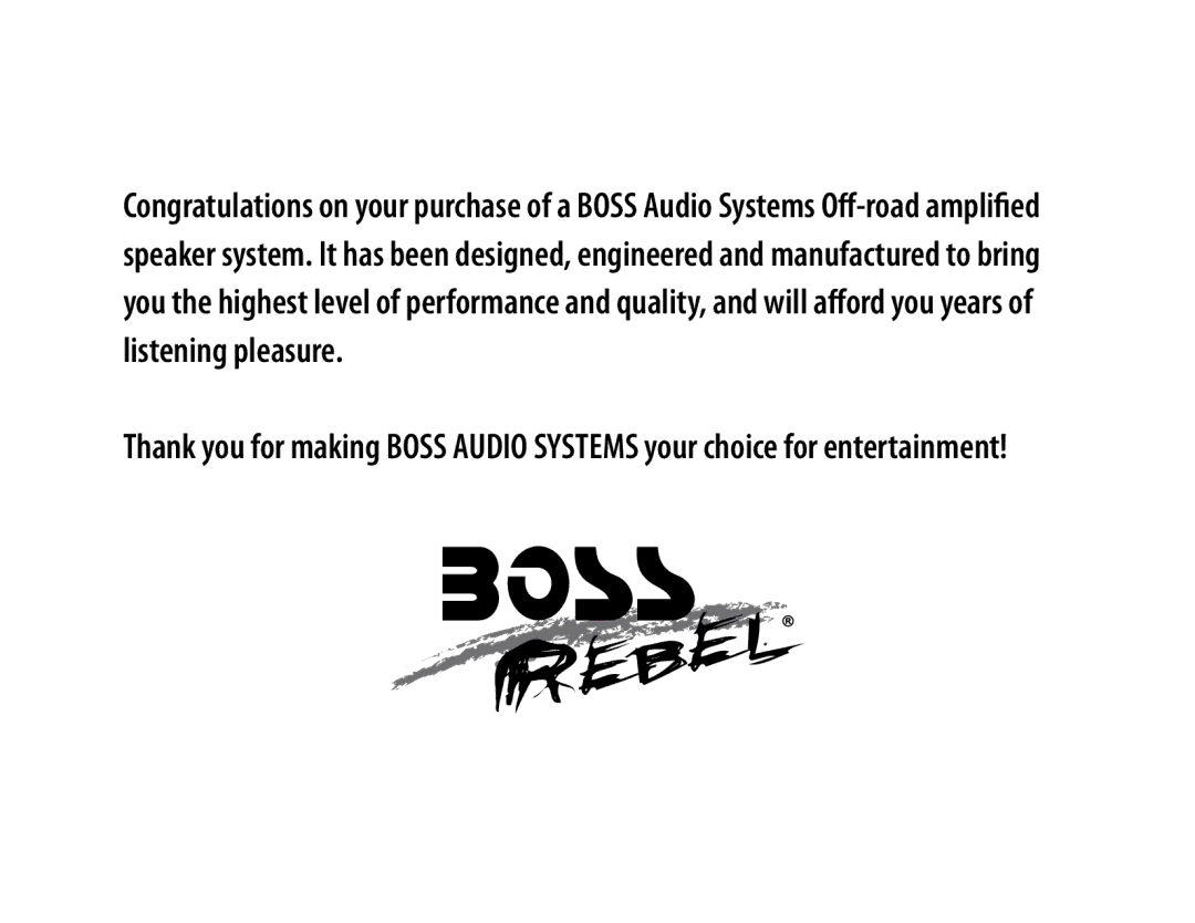 Boss Audio Systems MC300 user manual 