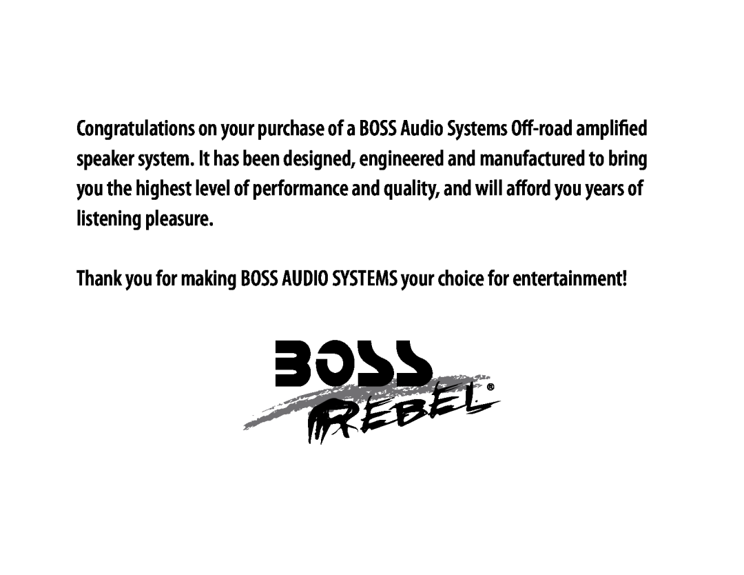Boss Audio Systems MC300 user manual 