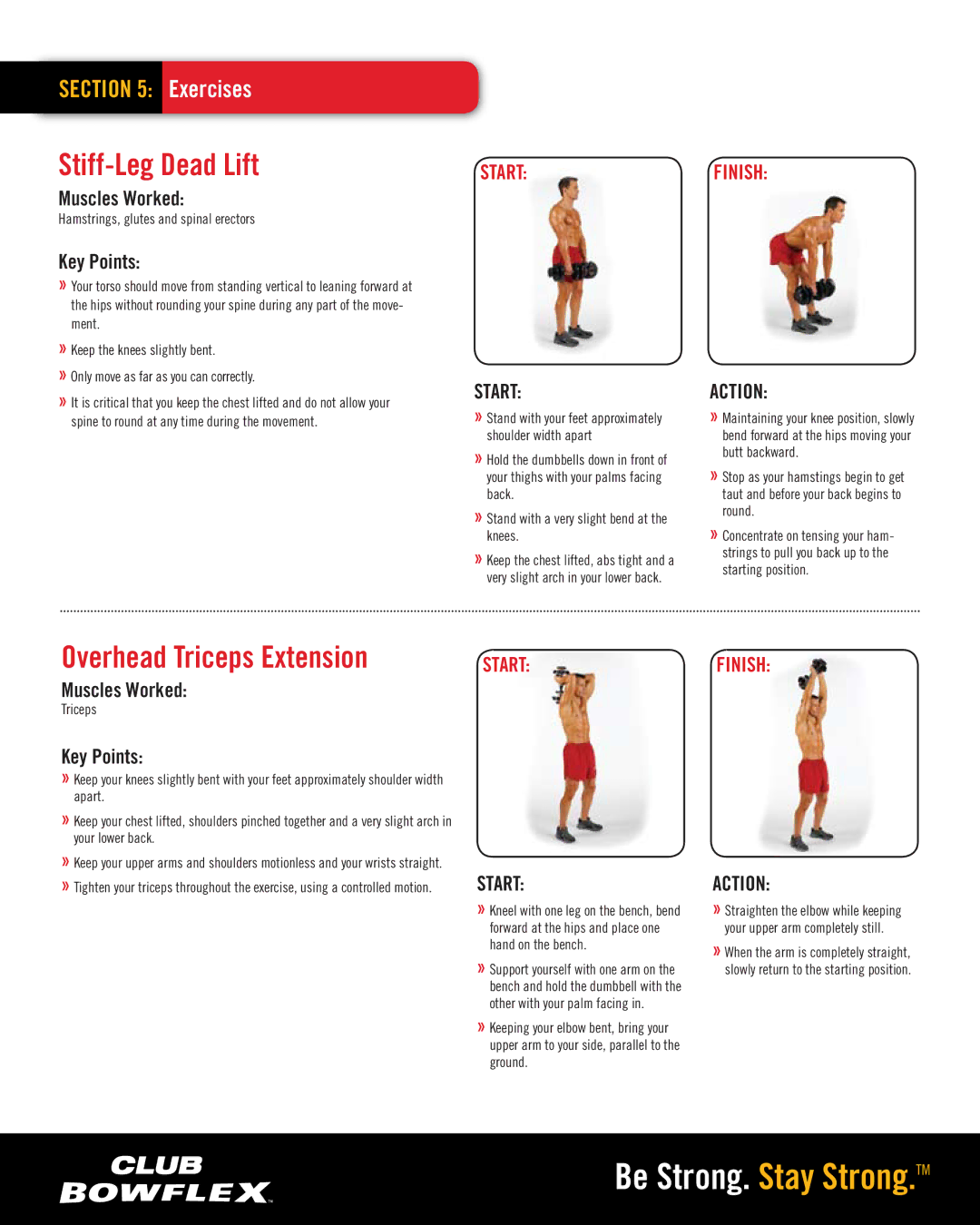 Bowflex 552 manual Stiff-Leg Dead Lift, Overhead Triceps Extension, Hamstrings, glutes and spinal erectors 