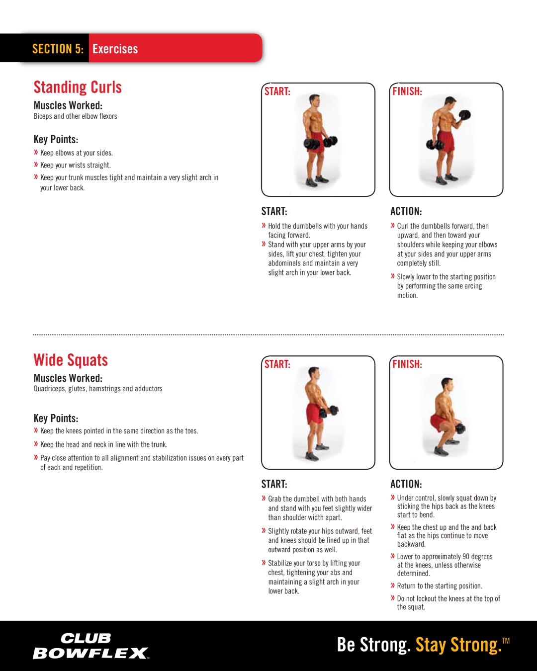 Bowflex 552 Standing Curls, Wide Squats, Biceps and other elbow flexors, Quadriceps, glutes, hamstrings and adductors 