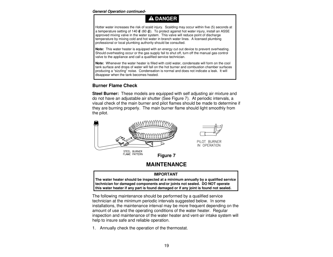 Bradford-White Corp 238-37281-00R instruction manual Maintenance 