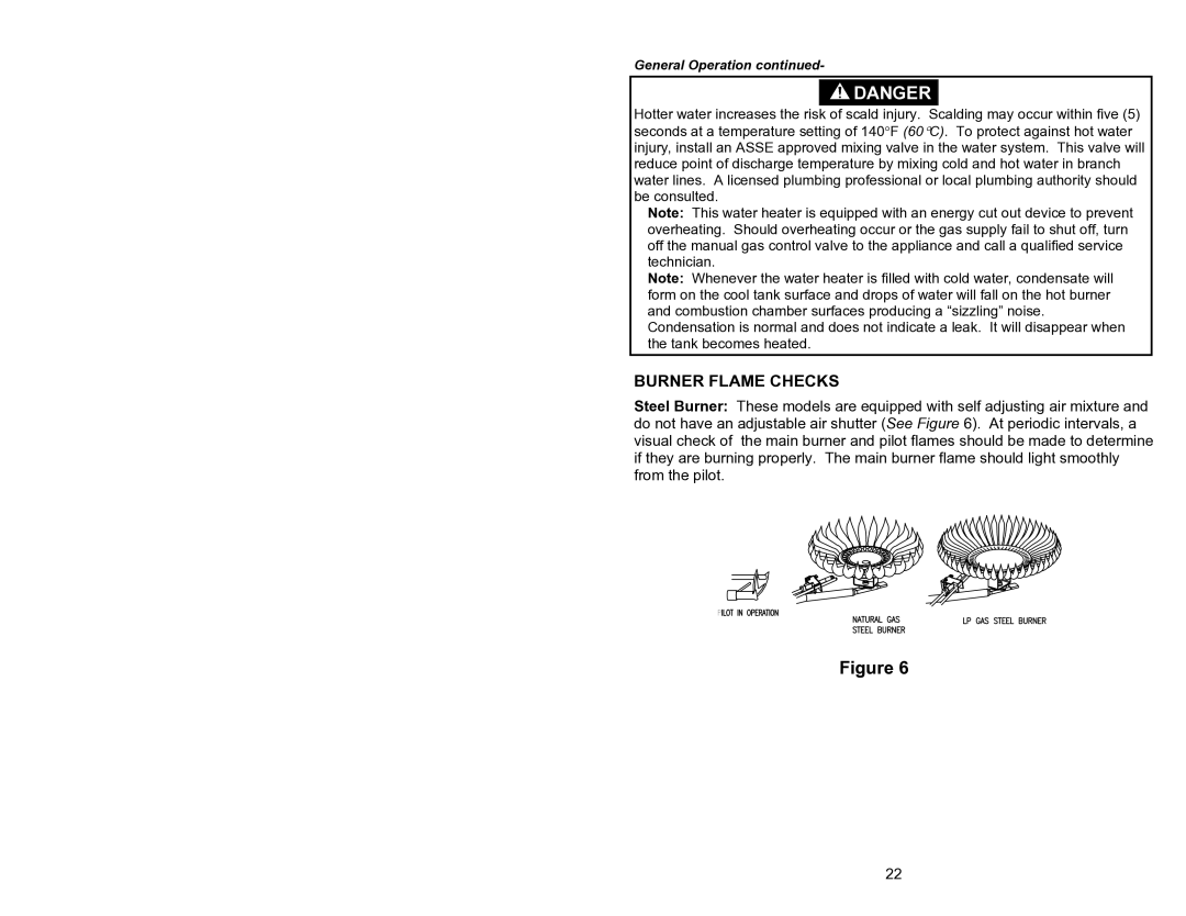 Bradford-White Corp 44219J, 238-44219-00J instruction manual Burner Flame Checks 