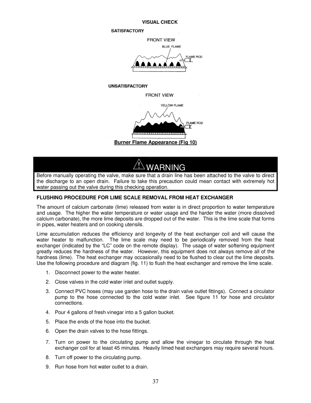 Bradford-White Corp IGE-199C, IGE-199R instruction manual Burner Flame Appearance Fig 