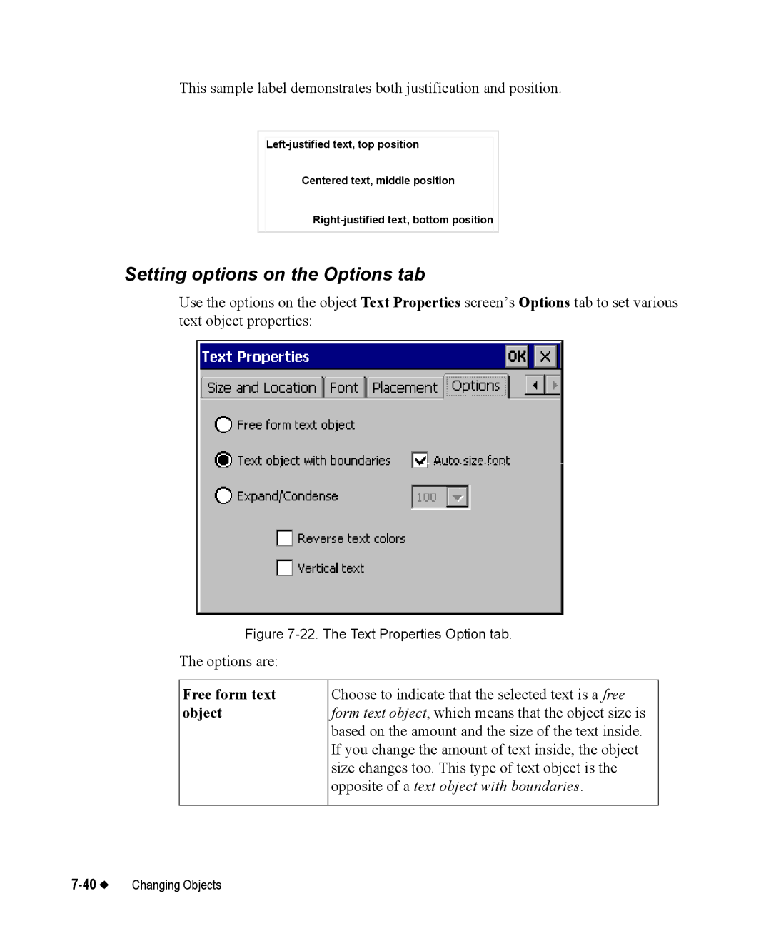 Brady 76800 manual Setting options on the Options tab, The Text Properties Option tab 