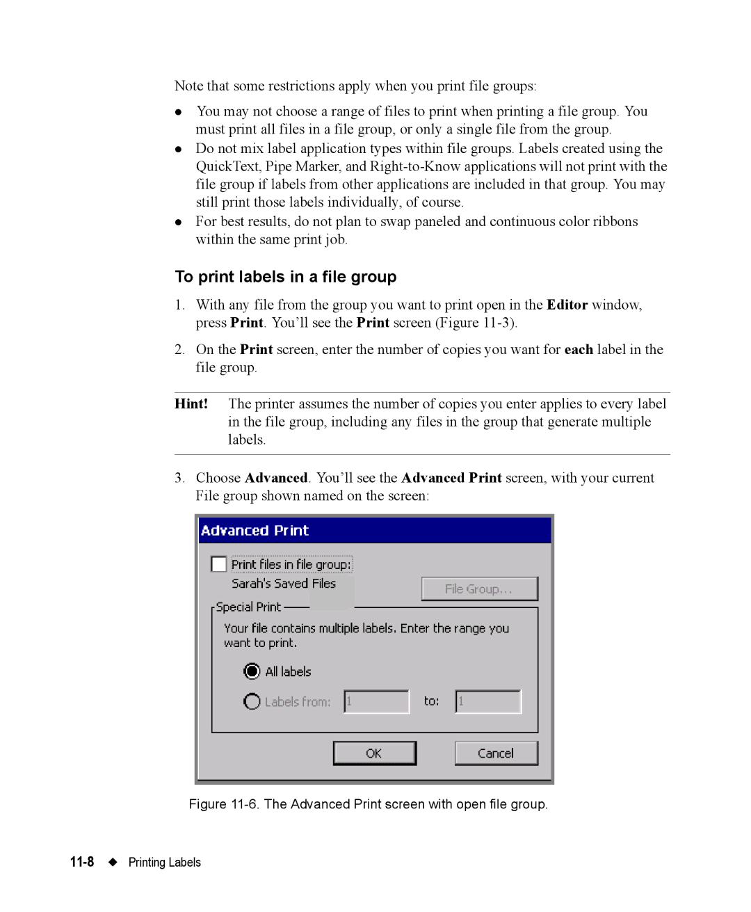 Brady 76800 manual To print labels in a file group 