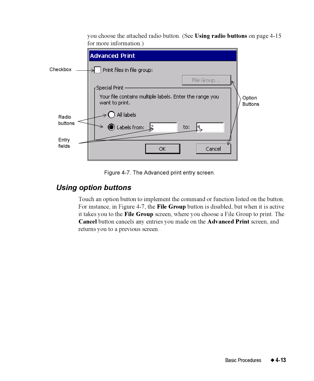 Brady 76800 manual Using option buttons, Advanced print entry screen 