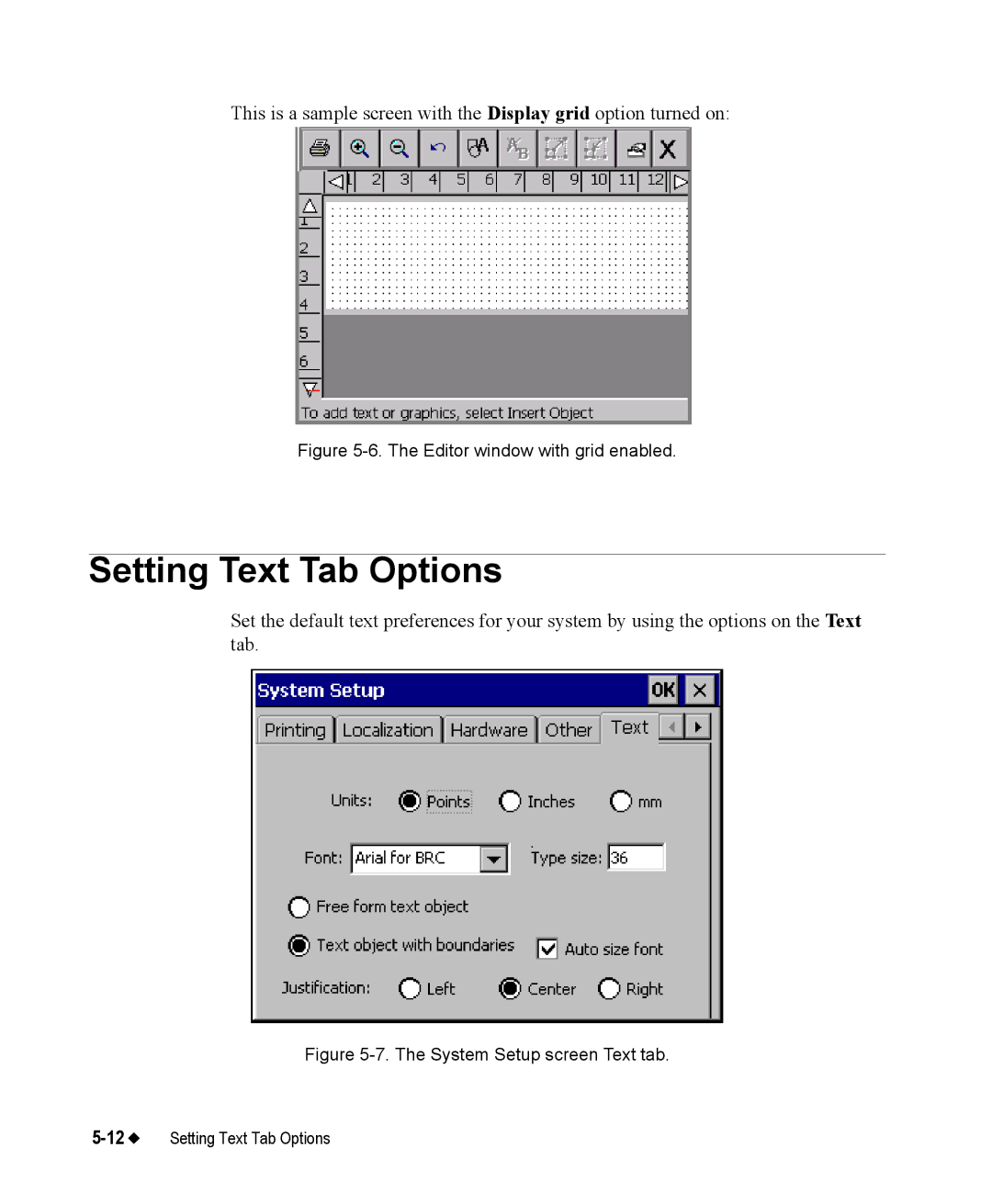 Brady 76800 manual Setting Text Tab Options, Editor window with grid enabled 