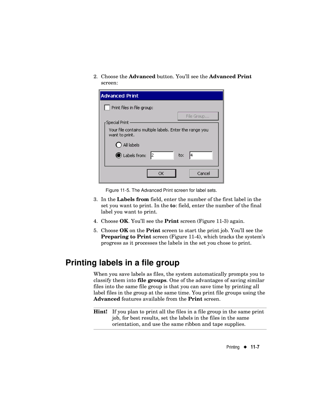 Brady label maker manual Printing labels in a file group, Advanced Print screen for label sets 