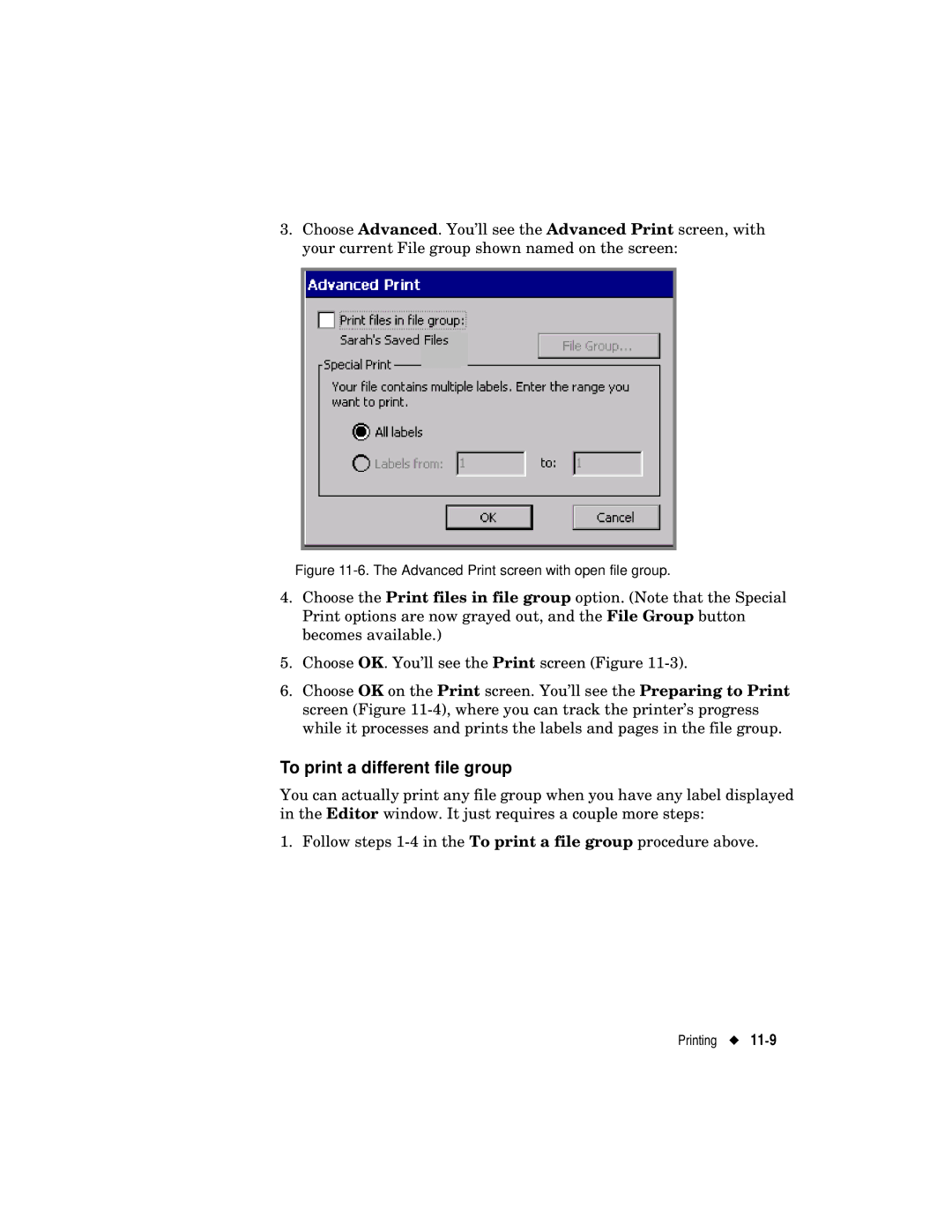 Brady label maker manual To print a different file group, Advanced Print screen with open file group 