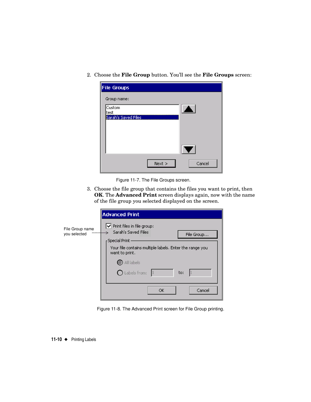 Brady label maker manual File Groups screen 