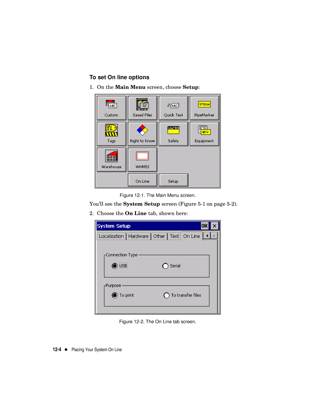 Brady label maker manual To set On line options, On Line tab screen 12-4Placing Your System On Line 